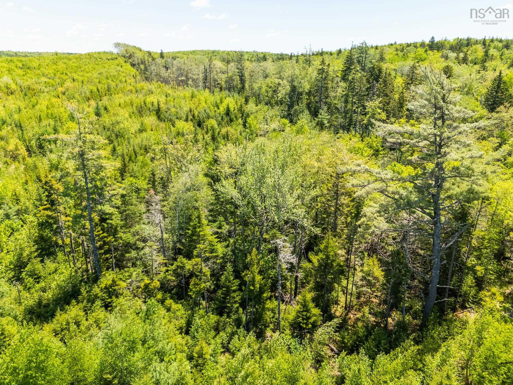 $100,000.00: Lot, Hectanooga Road, Briar Lake