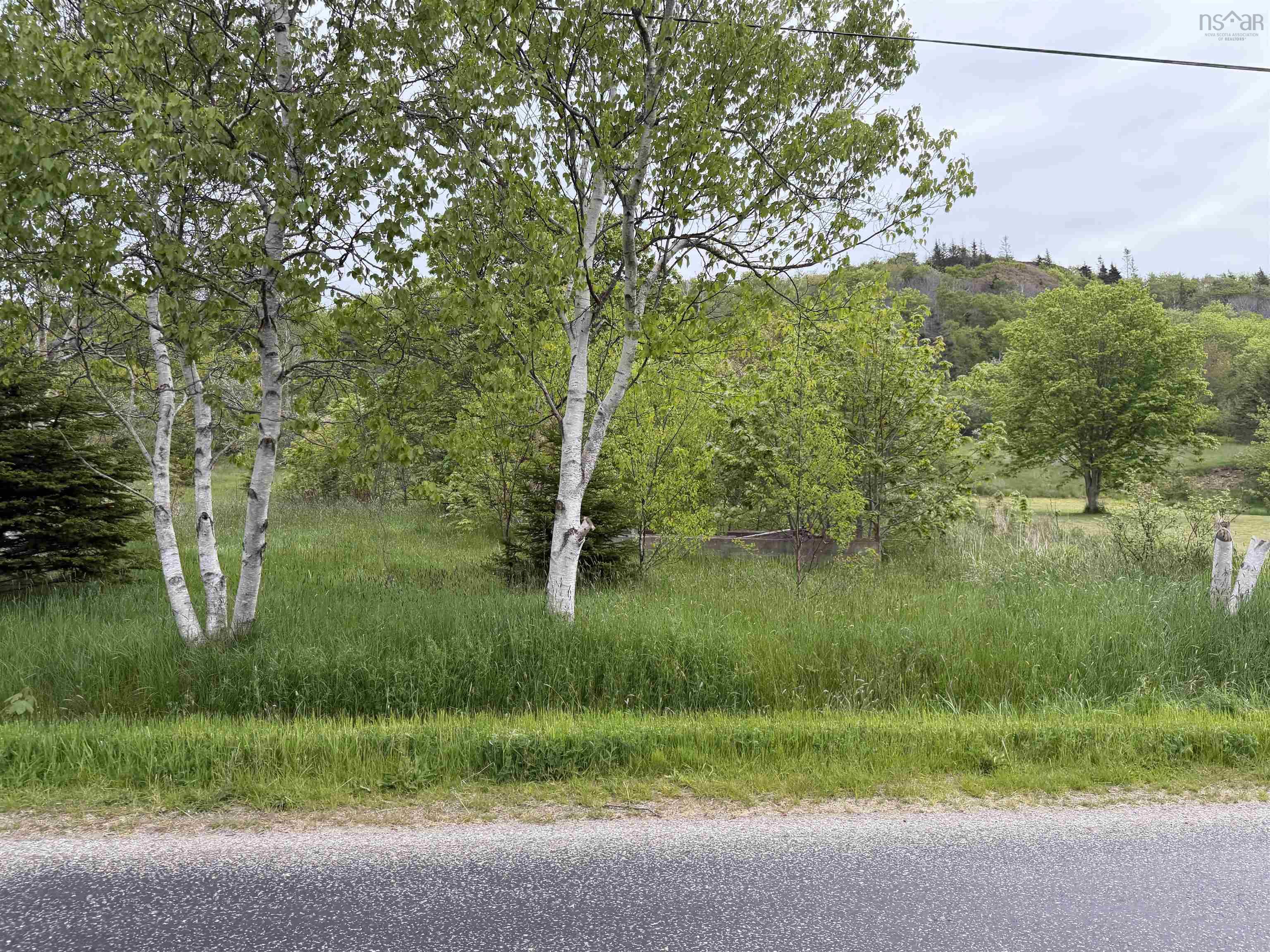 $9,000.00: 262 Trout Cove Road, Centreville