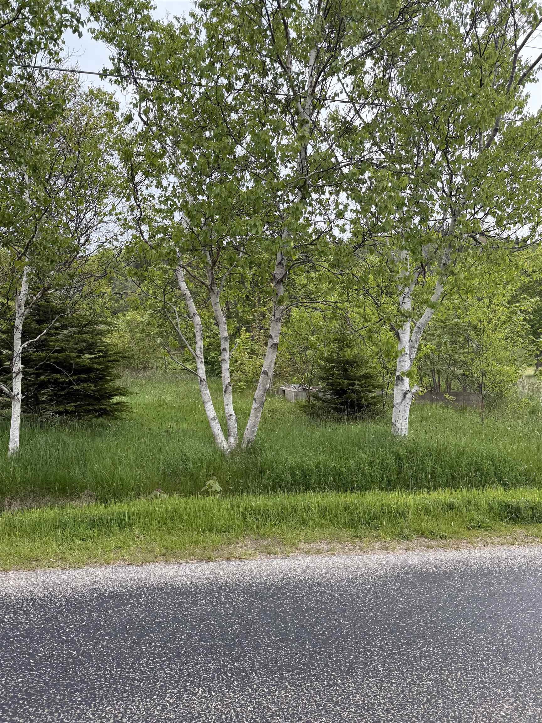 $9,000.00: 262 Trout Cove Road, Centreville