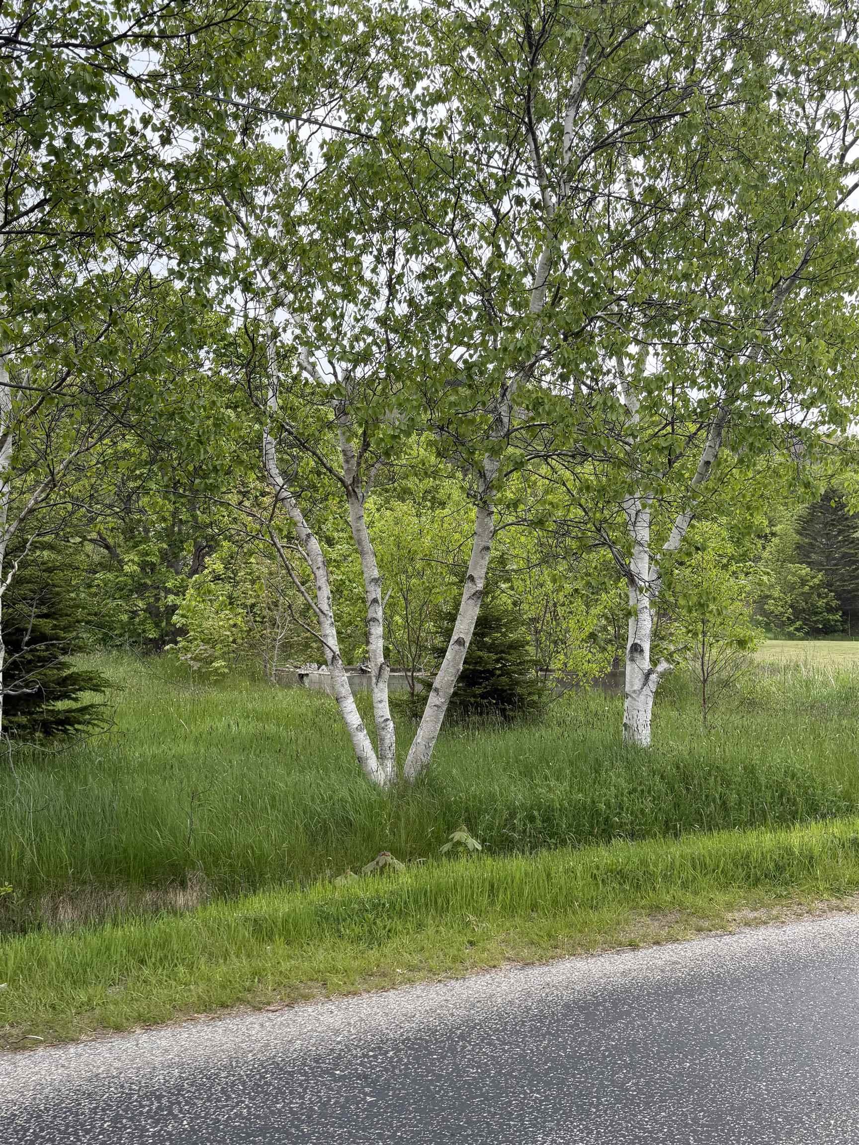 $9,000.00: 262 Trout Cove Road, Centreville