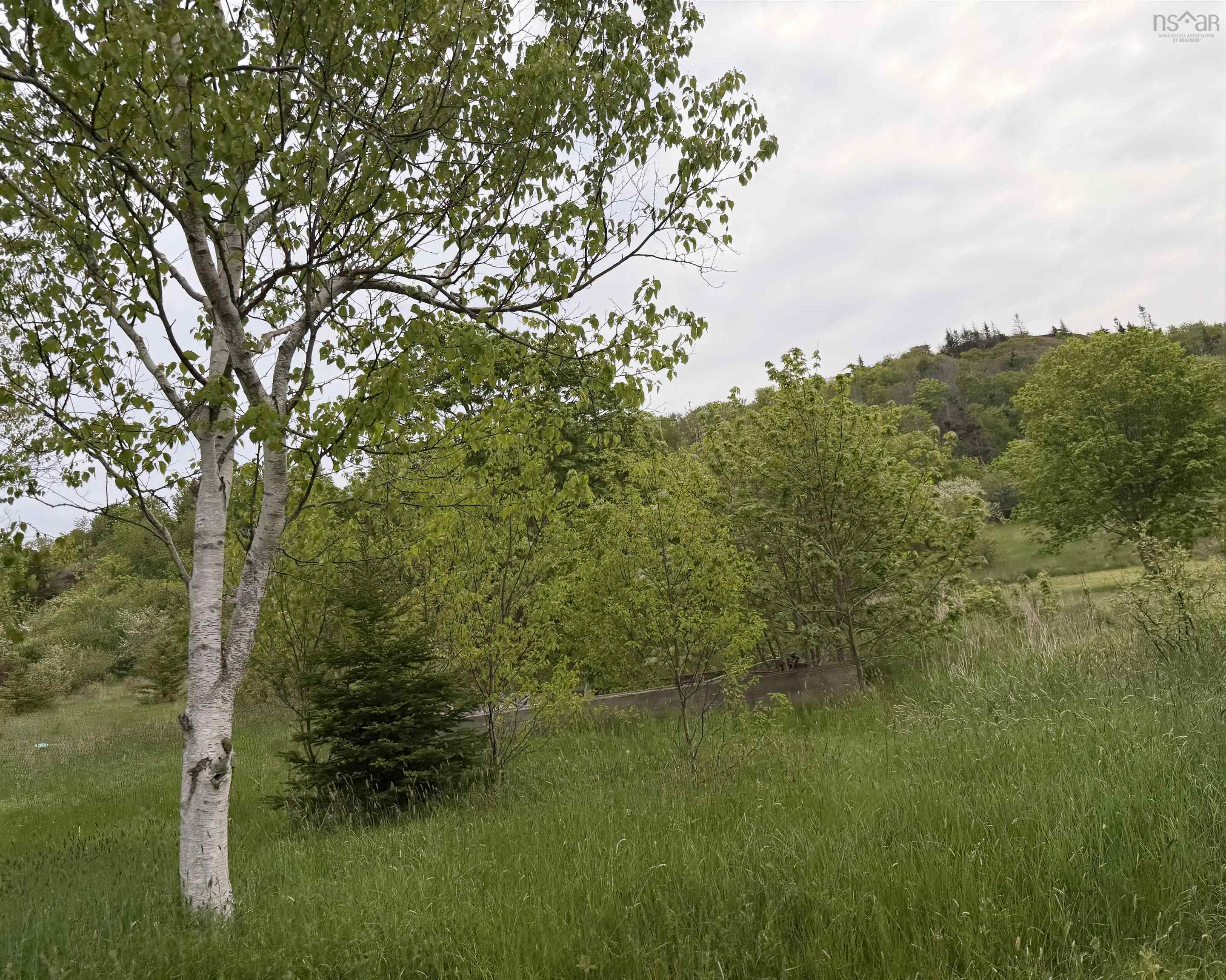 $9,000.00: 262 Trout Cove Road, Centreville