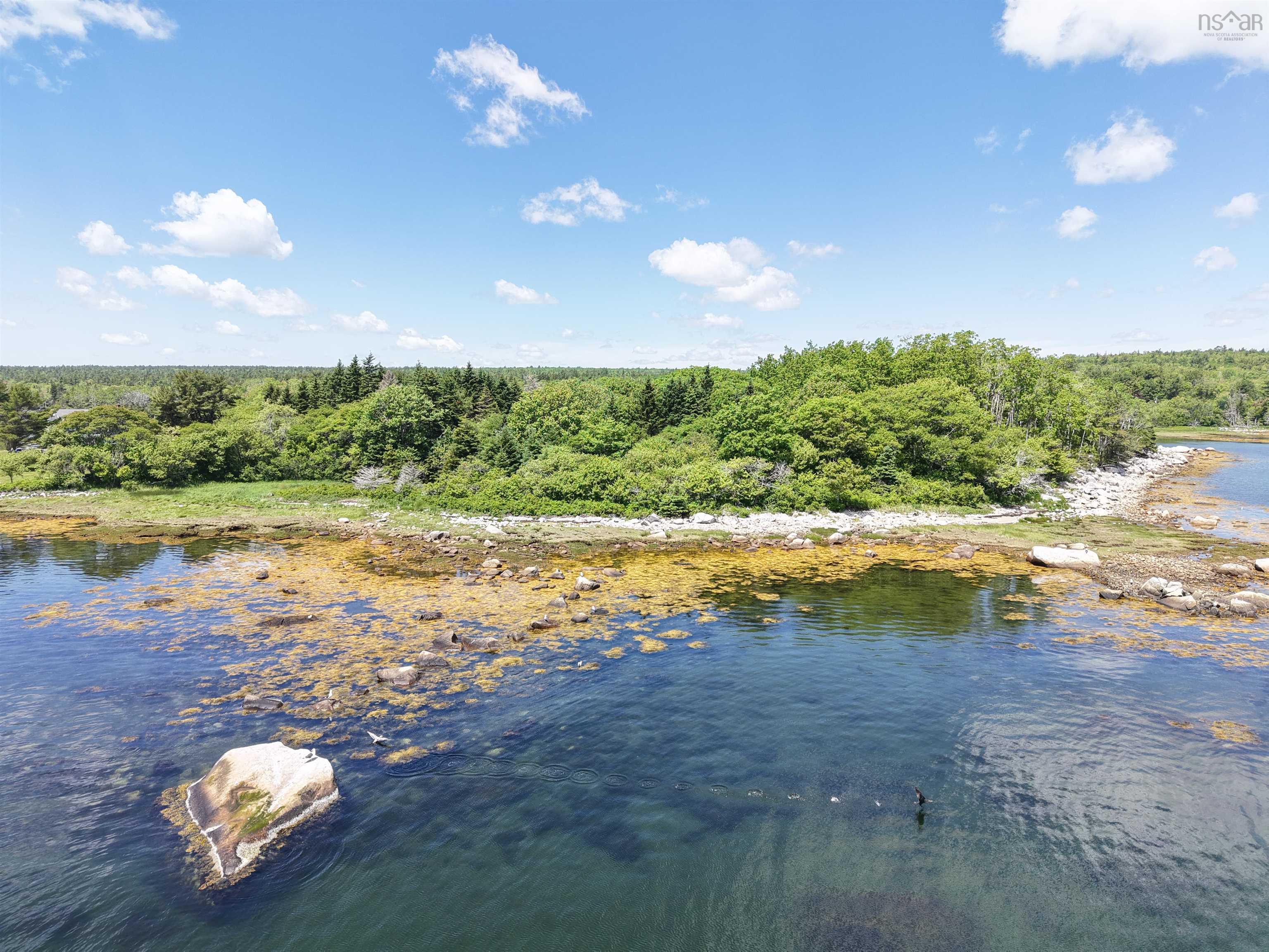 $99,900.00: Lot Central Port Mouton Road, Port Mouton