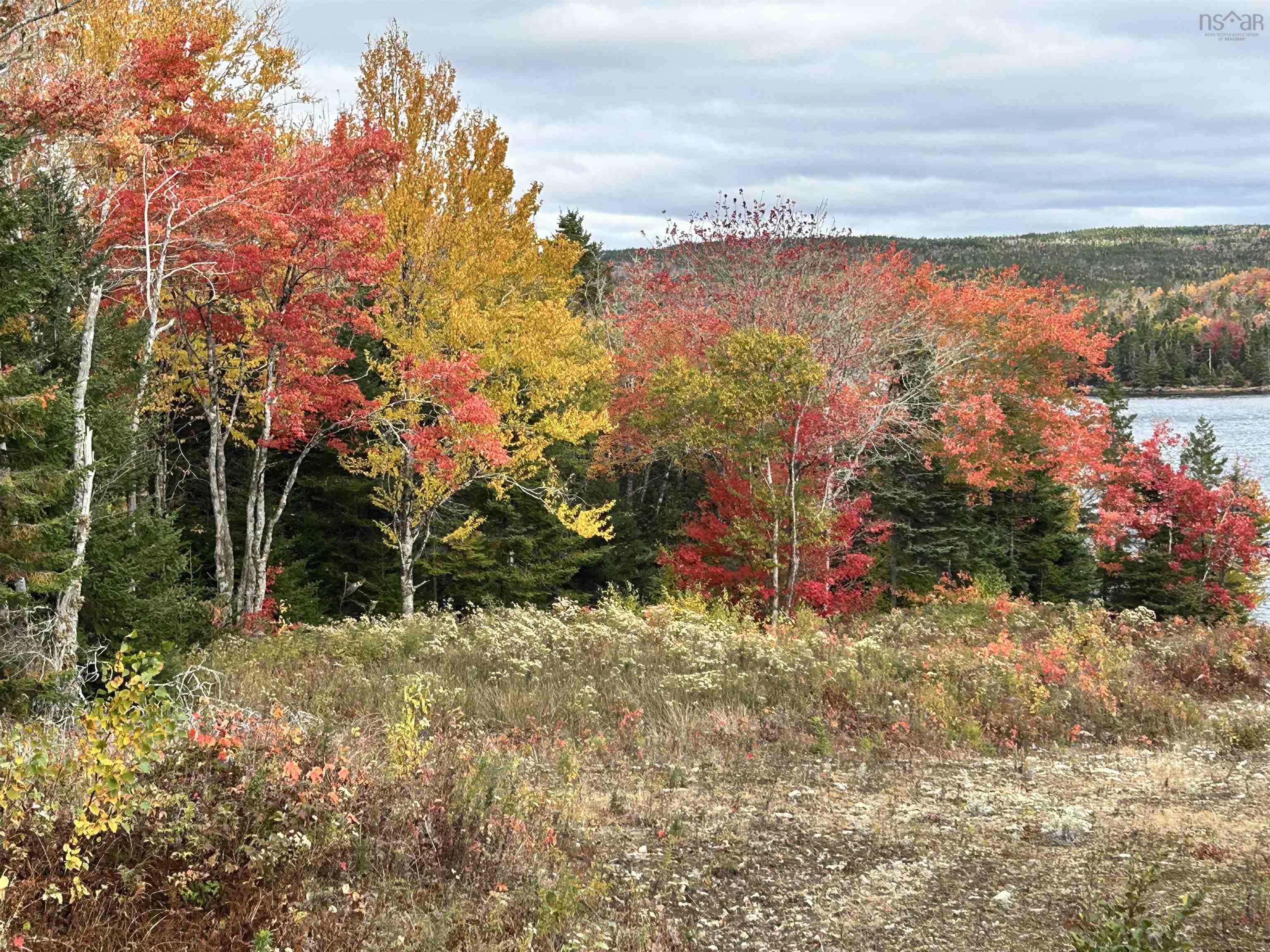 $115,000.00: Lot 58 Riverside Drive, Goldenville