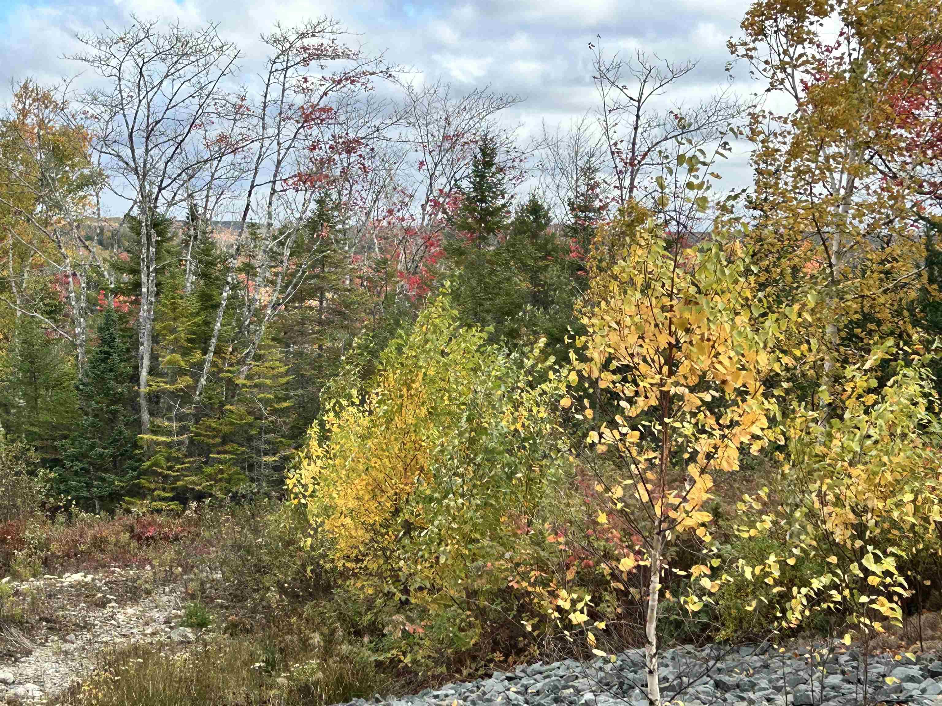 $115,000.00: Lot 58 Riverside Drive, Goldenville