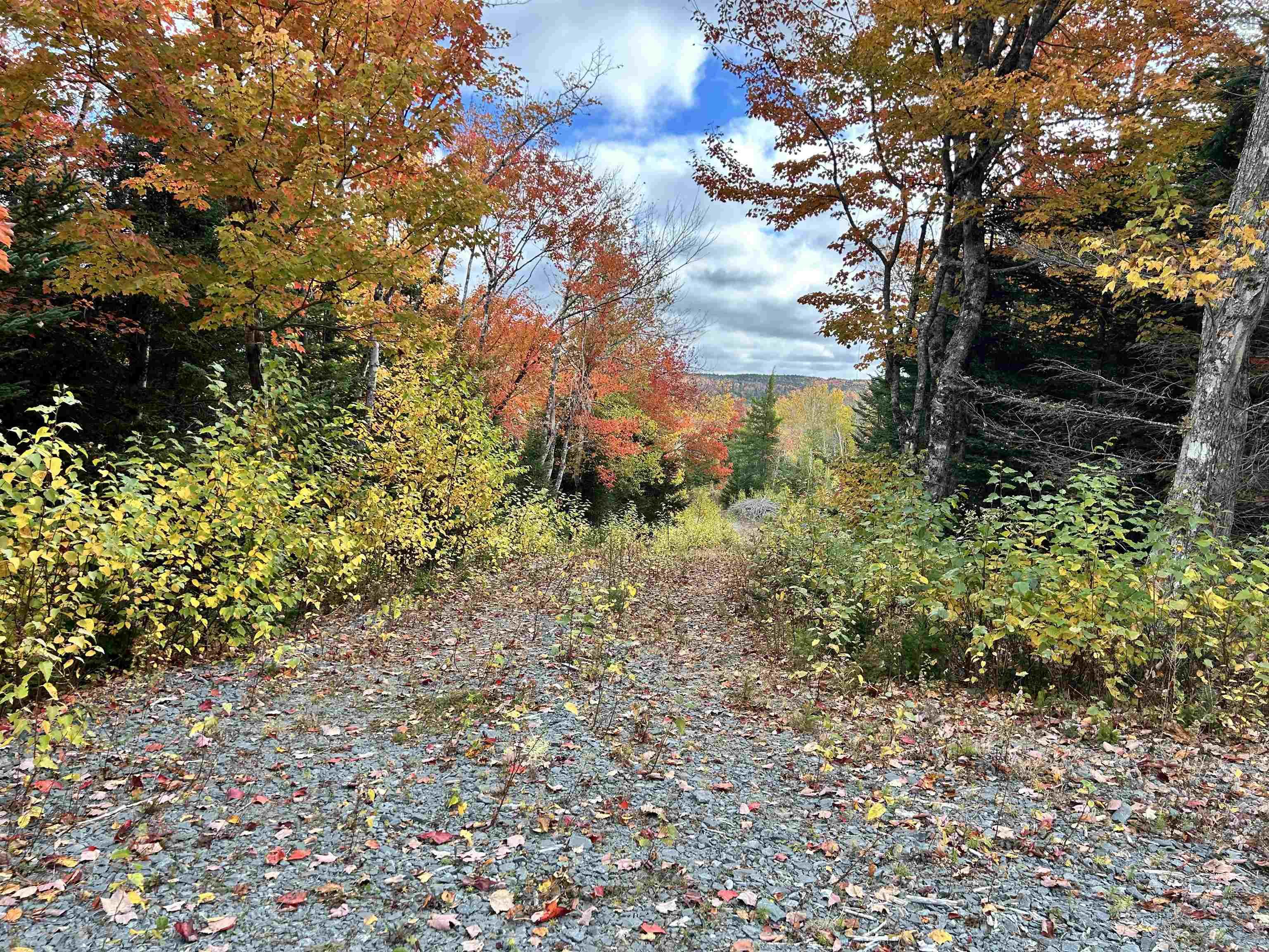 $115,000.00: Lot 58 Riverside Drive, Goldenville