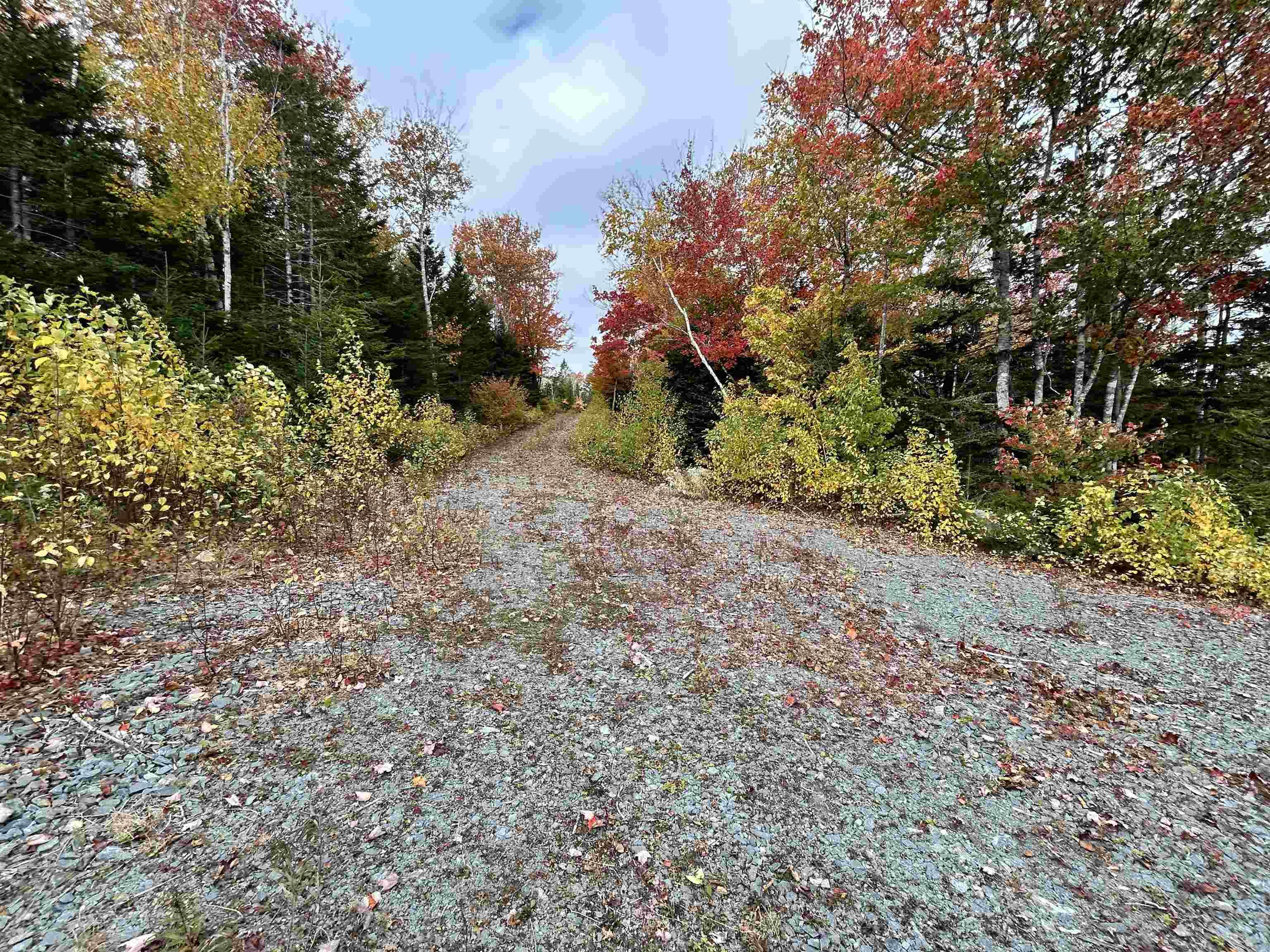 $115,000.00: Lot 58 Riverside Drive, Goldenville
