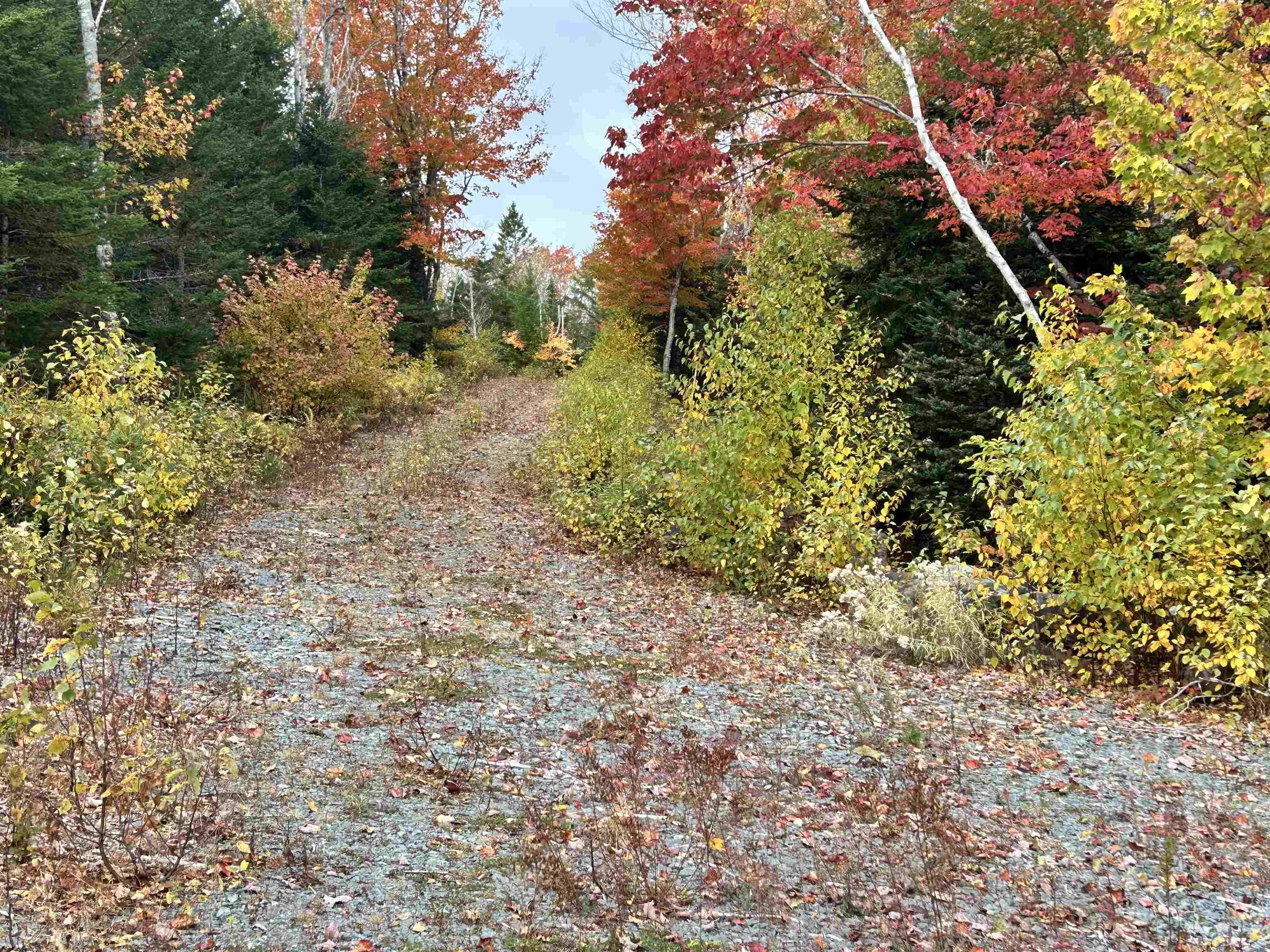 $115,000.00: Lot 58 Riverside Drive, Goldenville