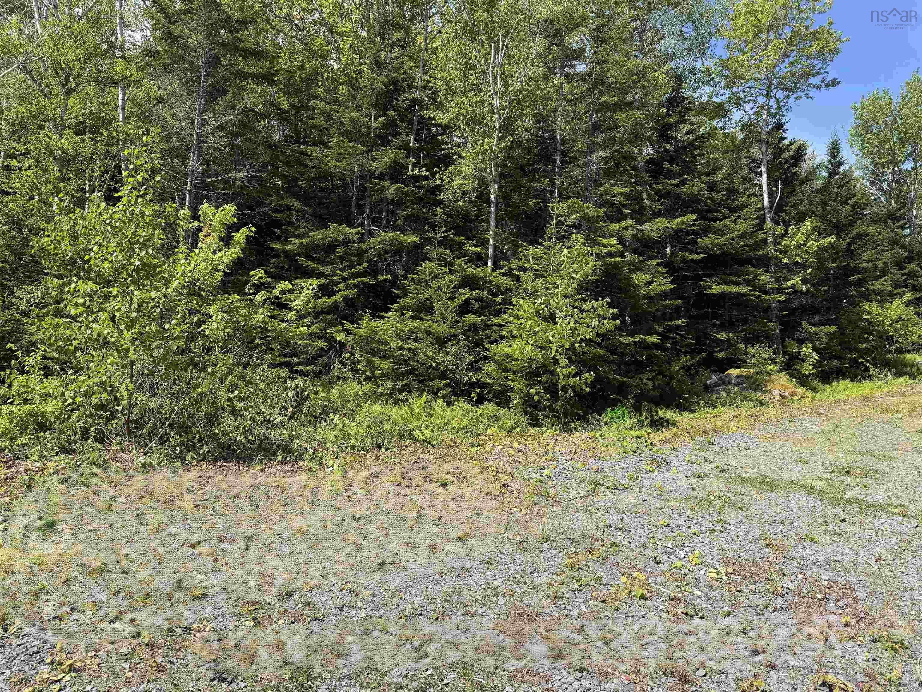 $115,000.00: Lot 58 Riverside Drive, Goldenville