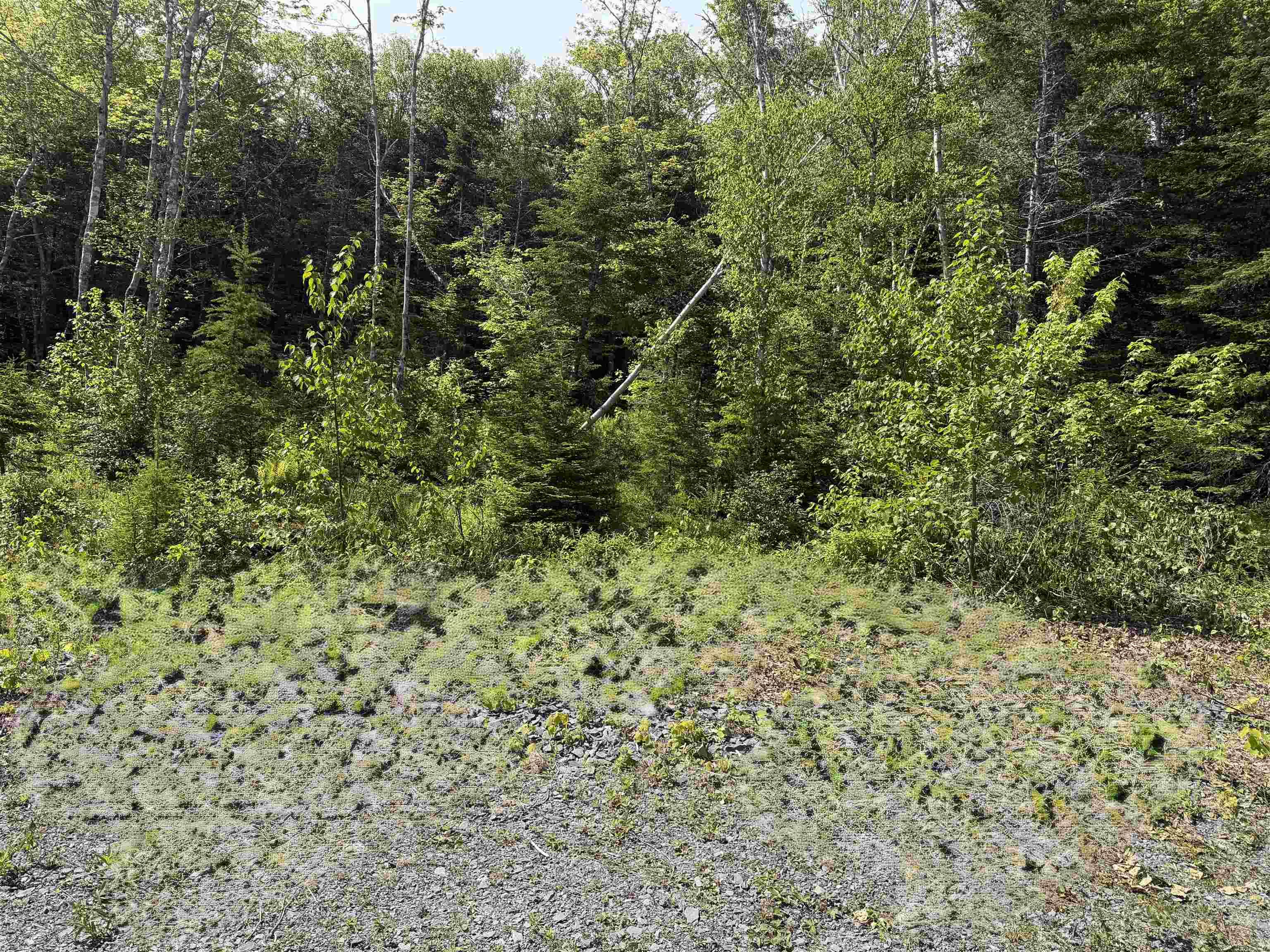 $115,000.00: Lot 58 Riverside Drive, Goldenville