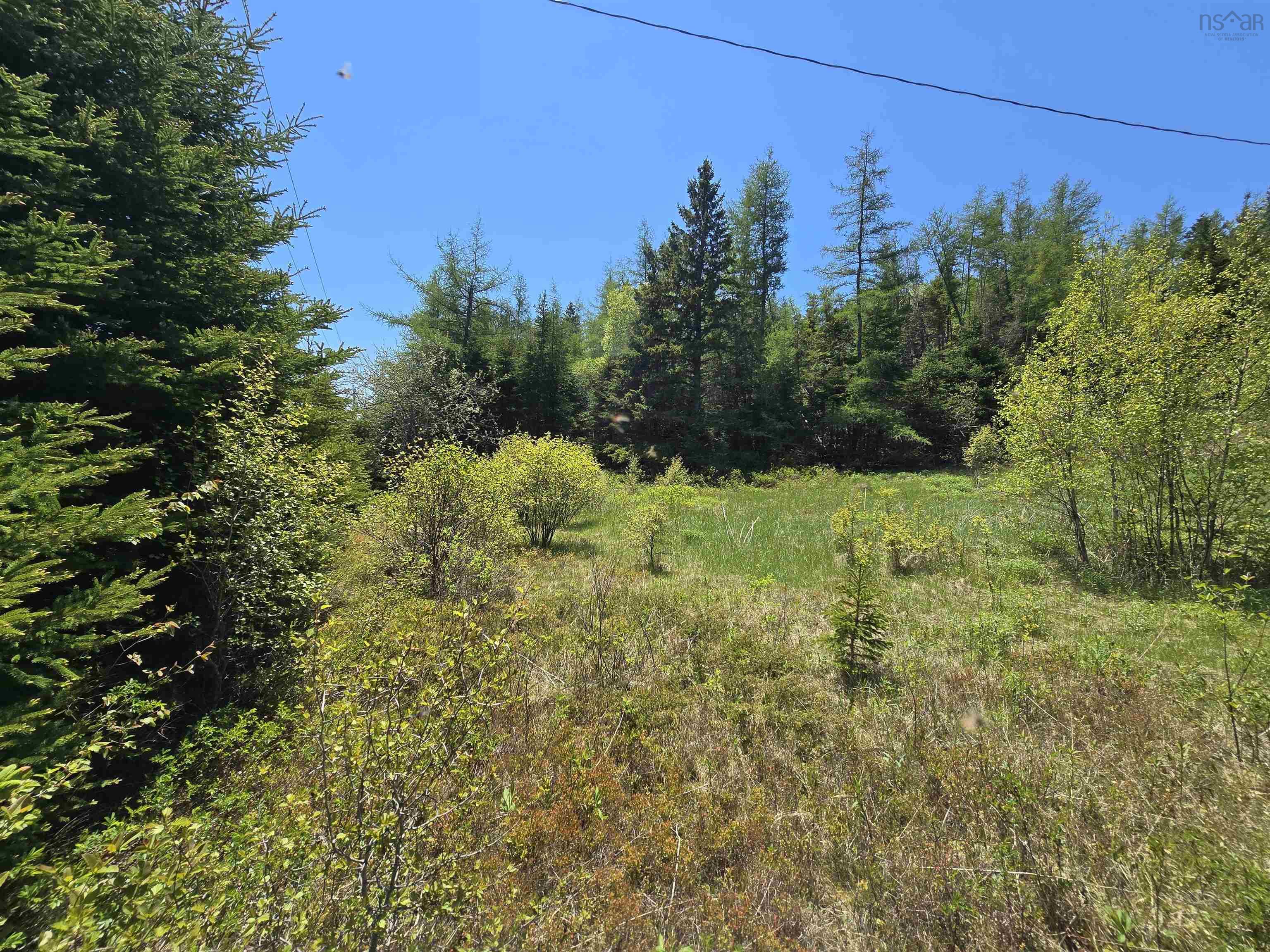 $25,000.00: 17987 316 Highway, Country Harbour