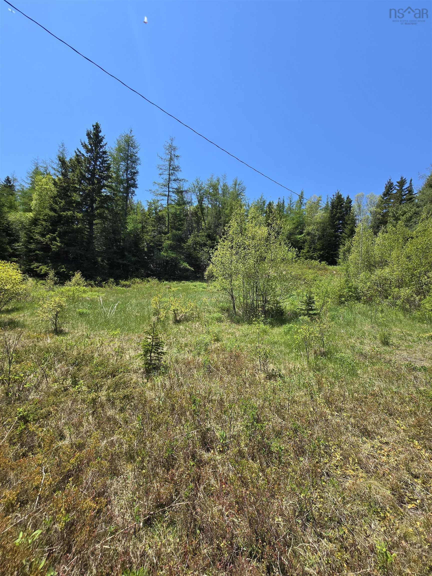 $25,000.00: 17987 316 Highway, Country Harbour