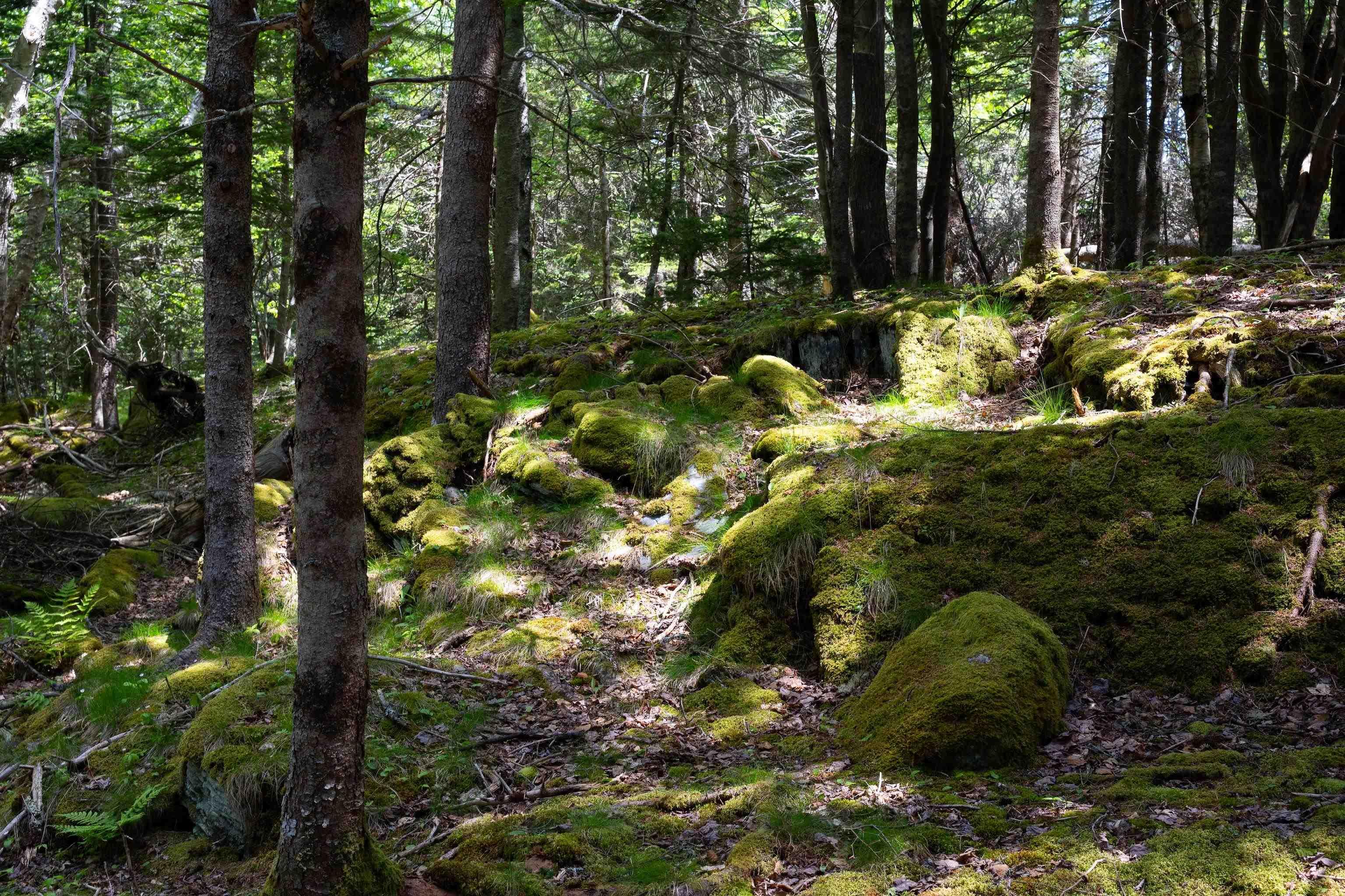 $199,000.00: Lot 60171535 Herring Rock Road, Blue Rocks