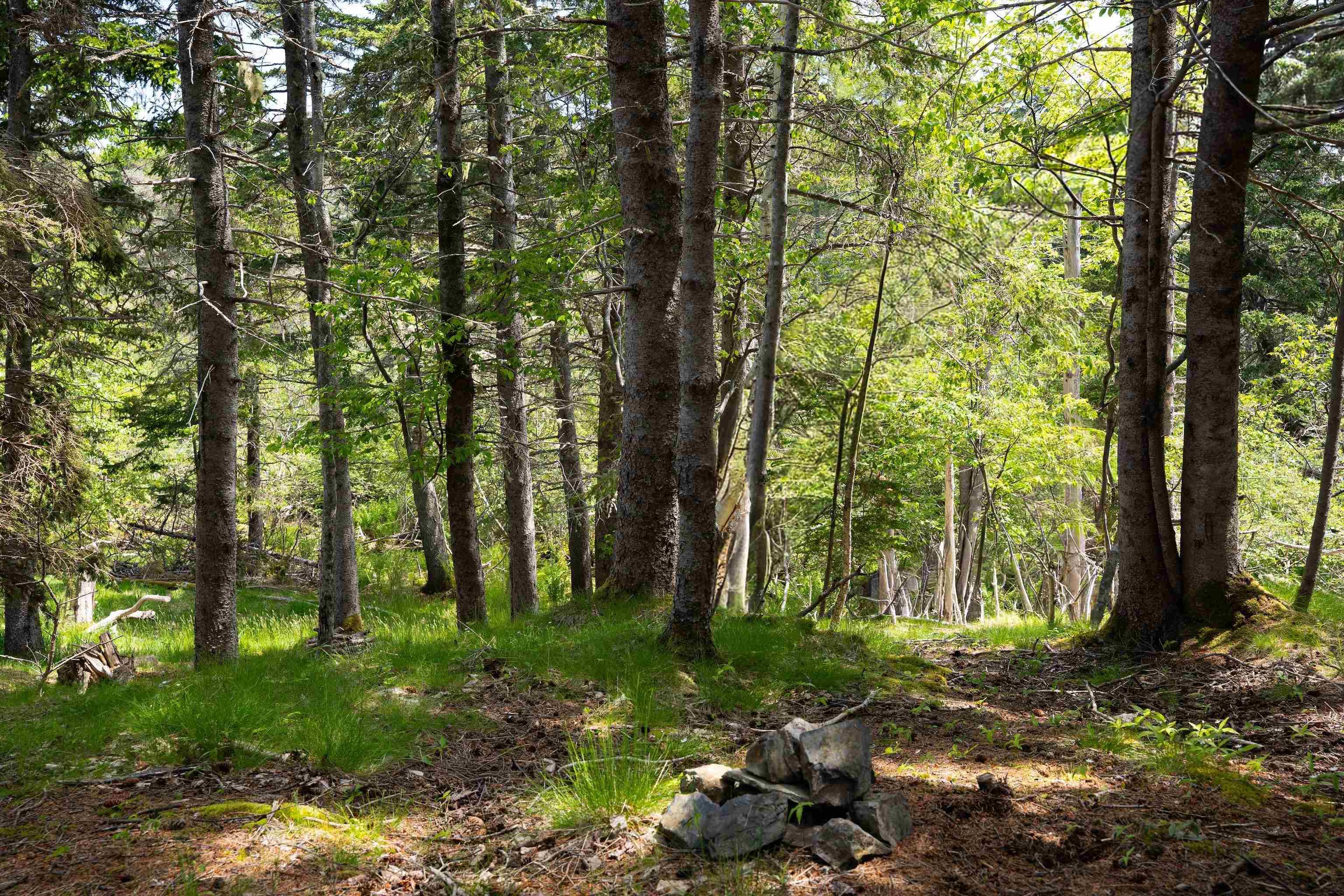 $199,000.00: Lot 60171535 Herring Rock Road, Blue Rocks