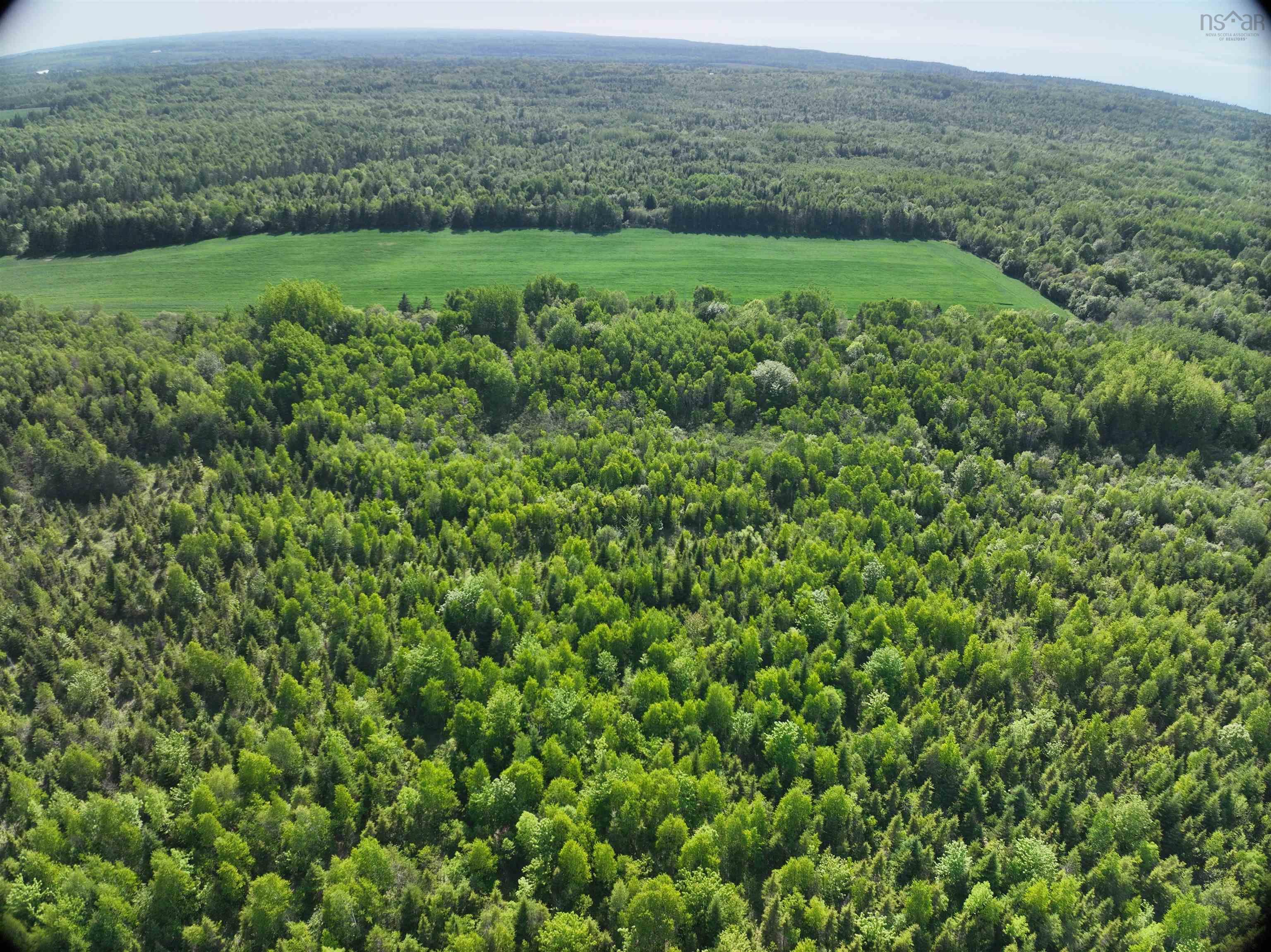 $49,900.00: Lot 5 Baxters Harbour Road, Glenmont