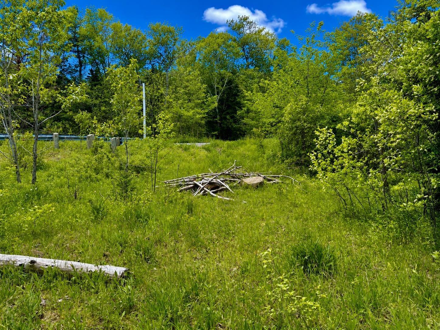 $49,500.00: 0 Cabot Trail Road, North East Margaree
