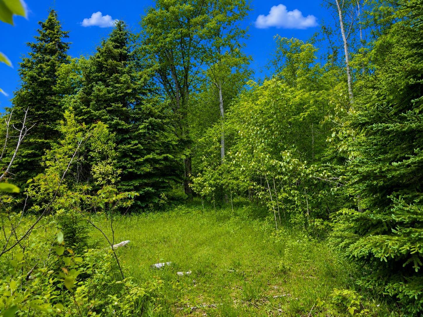 $49,500.00: 0 Cabot Trail Road, North East Margaree