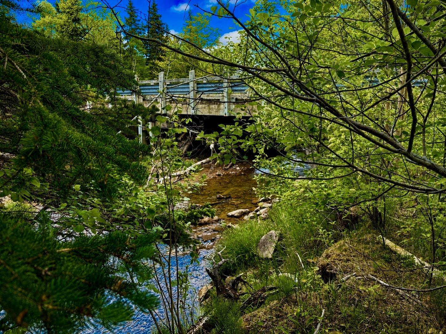 $49,500.00: 0 Cabot Trail Road, North East Margaree