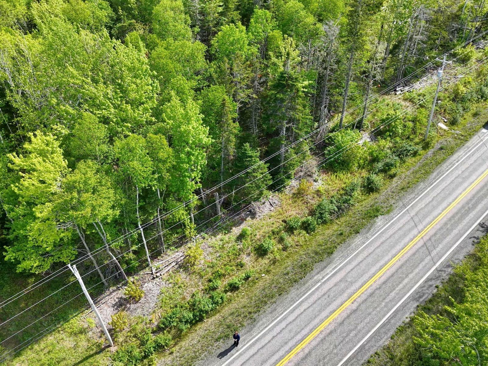 $75,000.00: Lot 2, 3, 6 Leitches Creek Rd, Leitches Creek