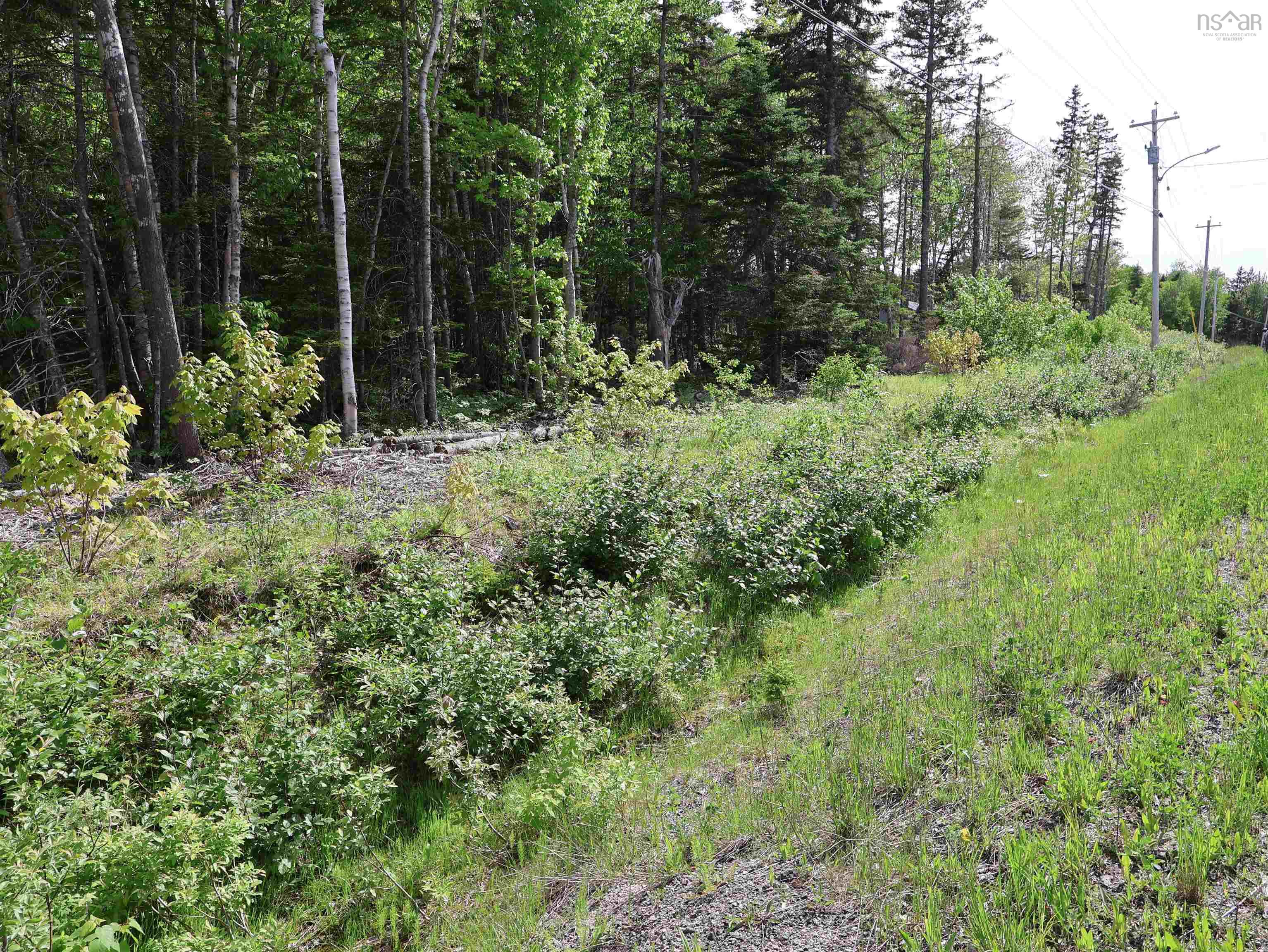$75,000.00: Lot 2, 3, 6 Leitches Creek Rd, Leitches Creek