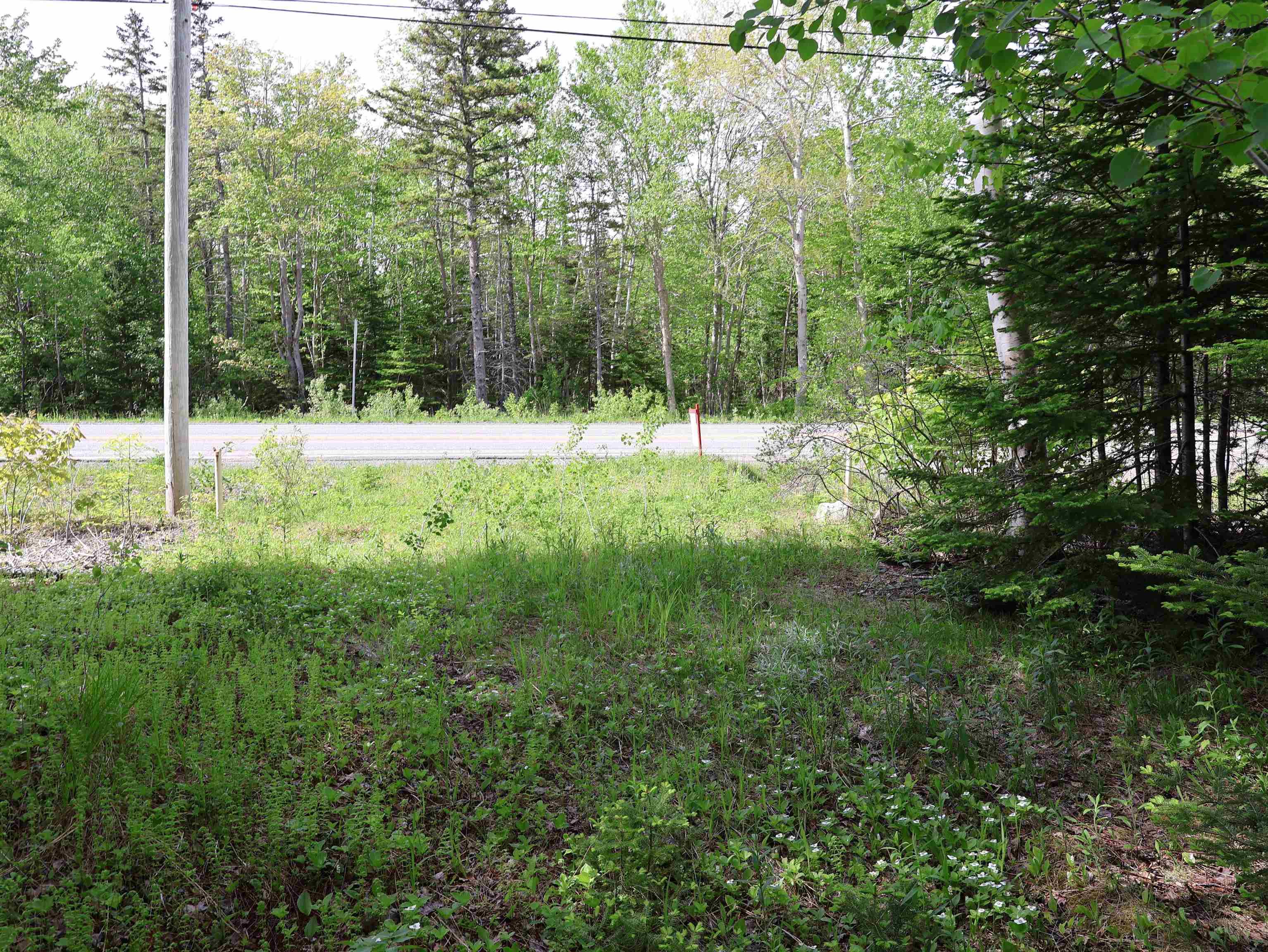 $75,000.00: Lot 2, 3, 6 Leitches Creek Rd, Leitches Creek