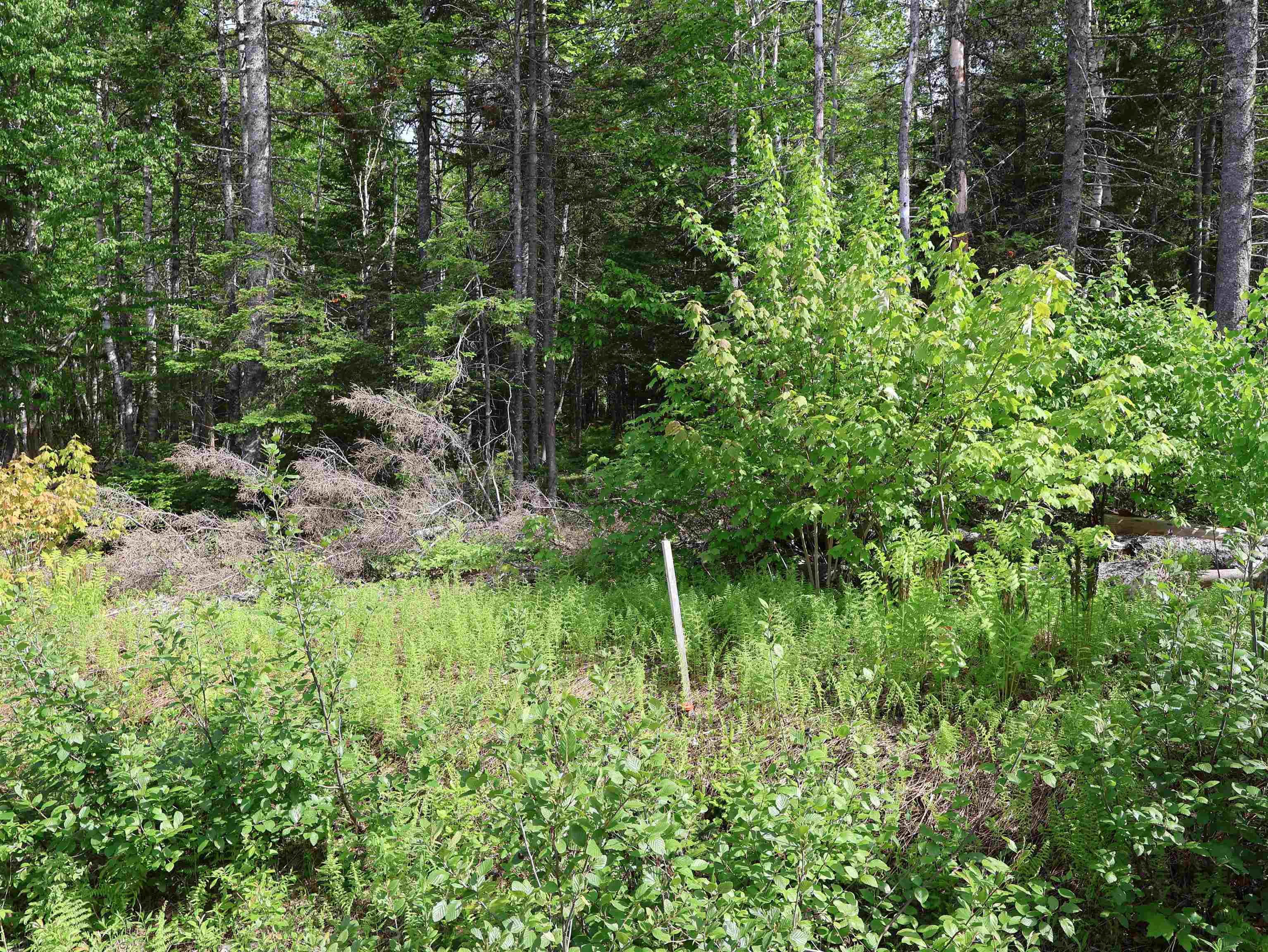 $75,000.00: Lot 2, 3, 6 Leitches Creek Rd, Leitches Creek