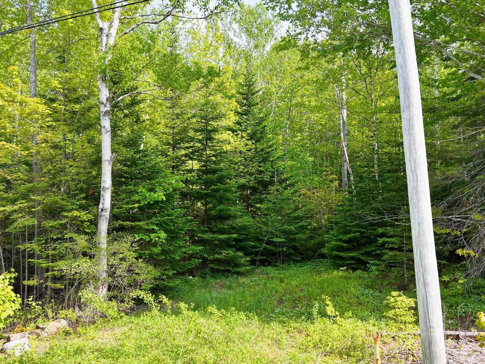 $75,000.00: Lot 2, 3, 6 Leitches Creek Rd, Leitches Creek