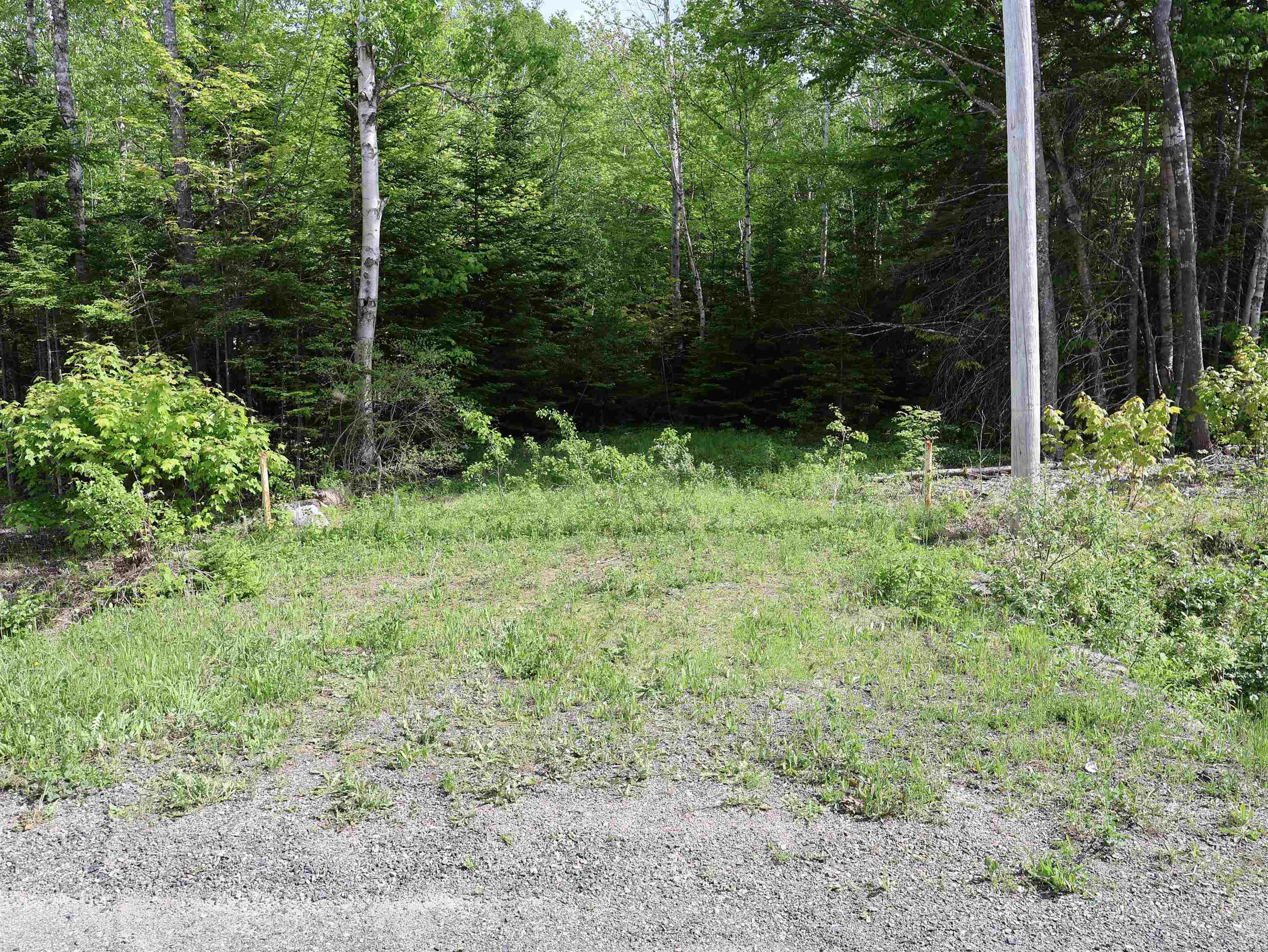 $75,000.00: Lot 2, 3, 6 Leitches Creek Rd, Leitches Creek