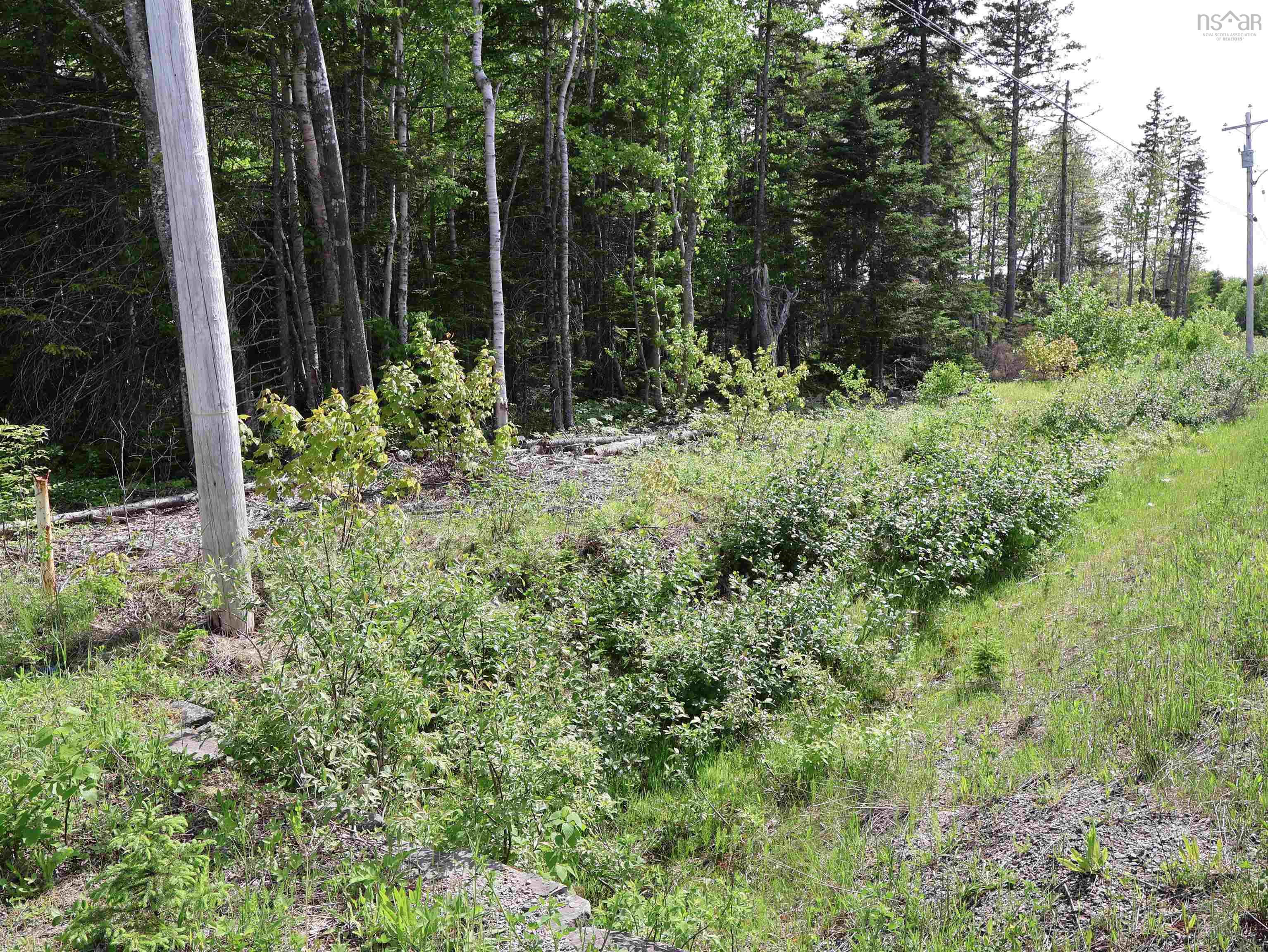 $75,000.00: Lot 2, 3, 6 Leitches Creek Rd, Leitches Creek