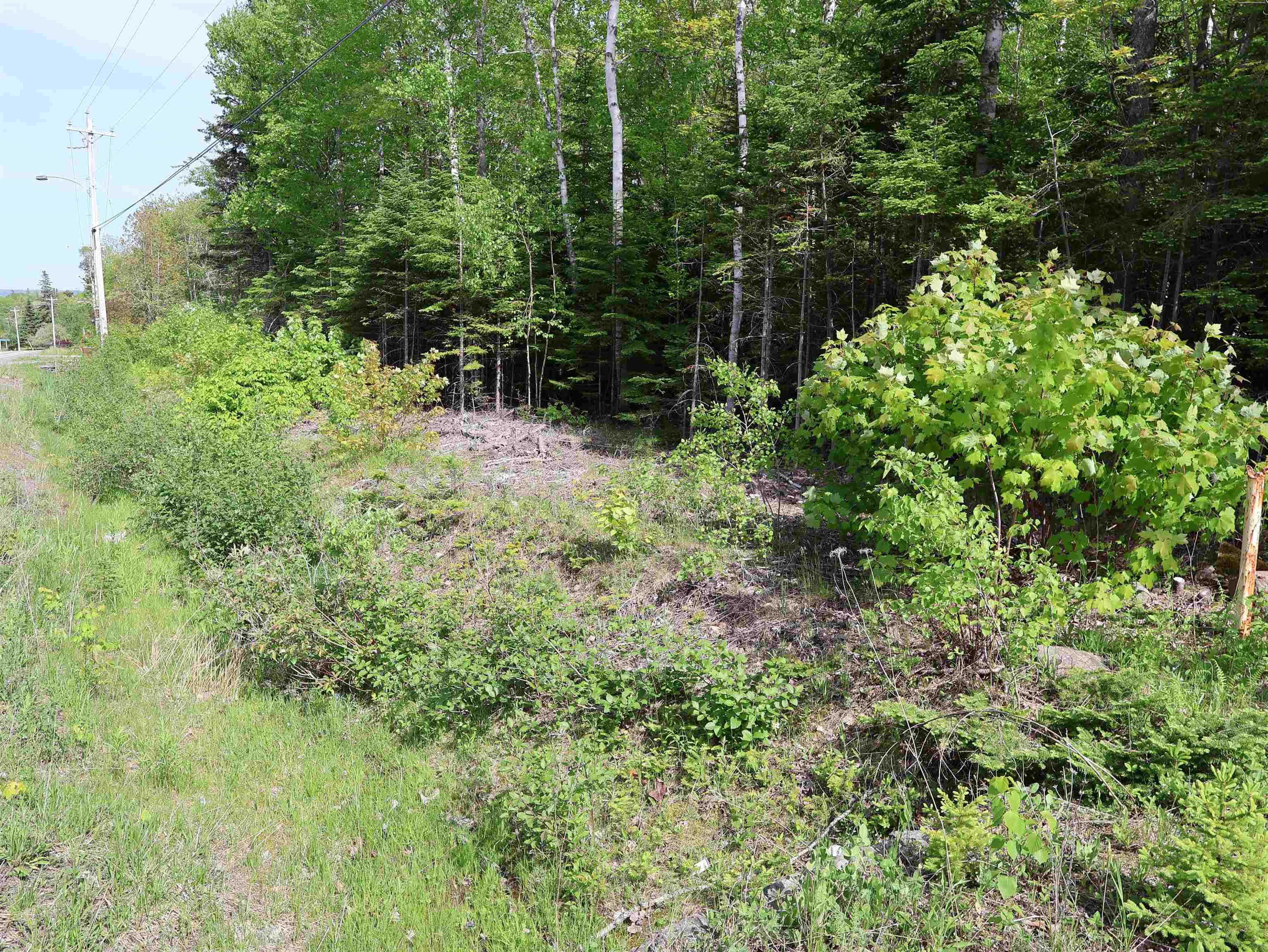 $75,000.00: Lot 2, 3, 6 Leitches Creek Rd, Leitches Creek