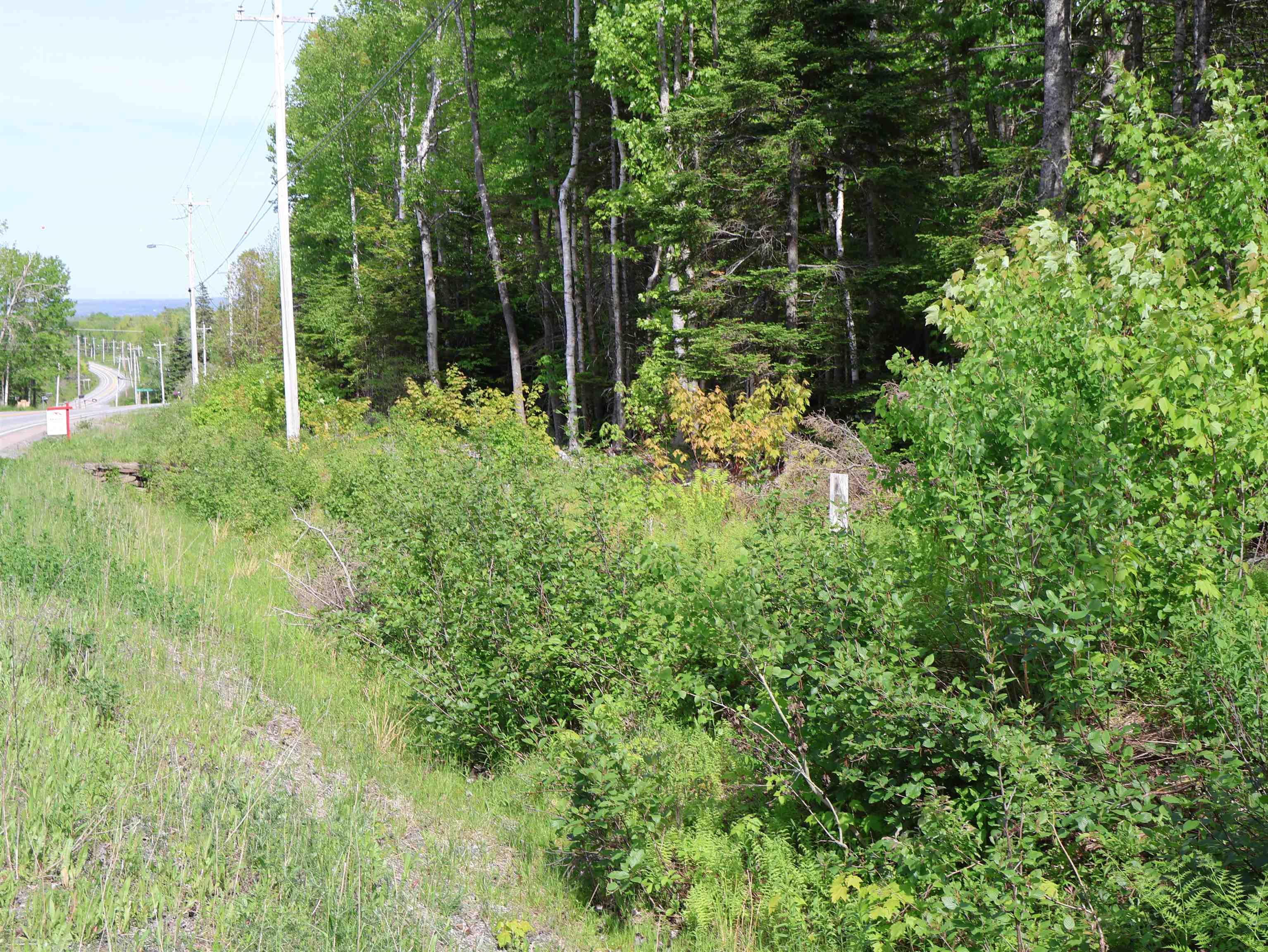 $75,000.00: Lot 2, 3, 6 Leitches Creek Rd, Leitches Creek