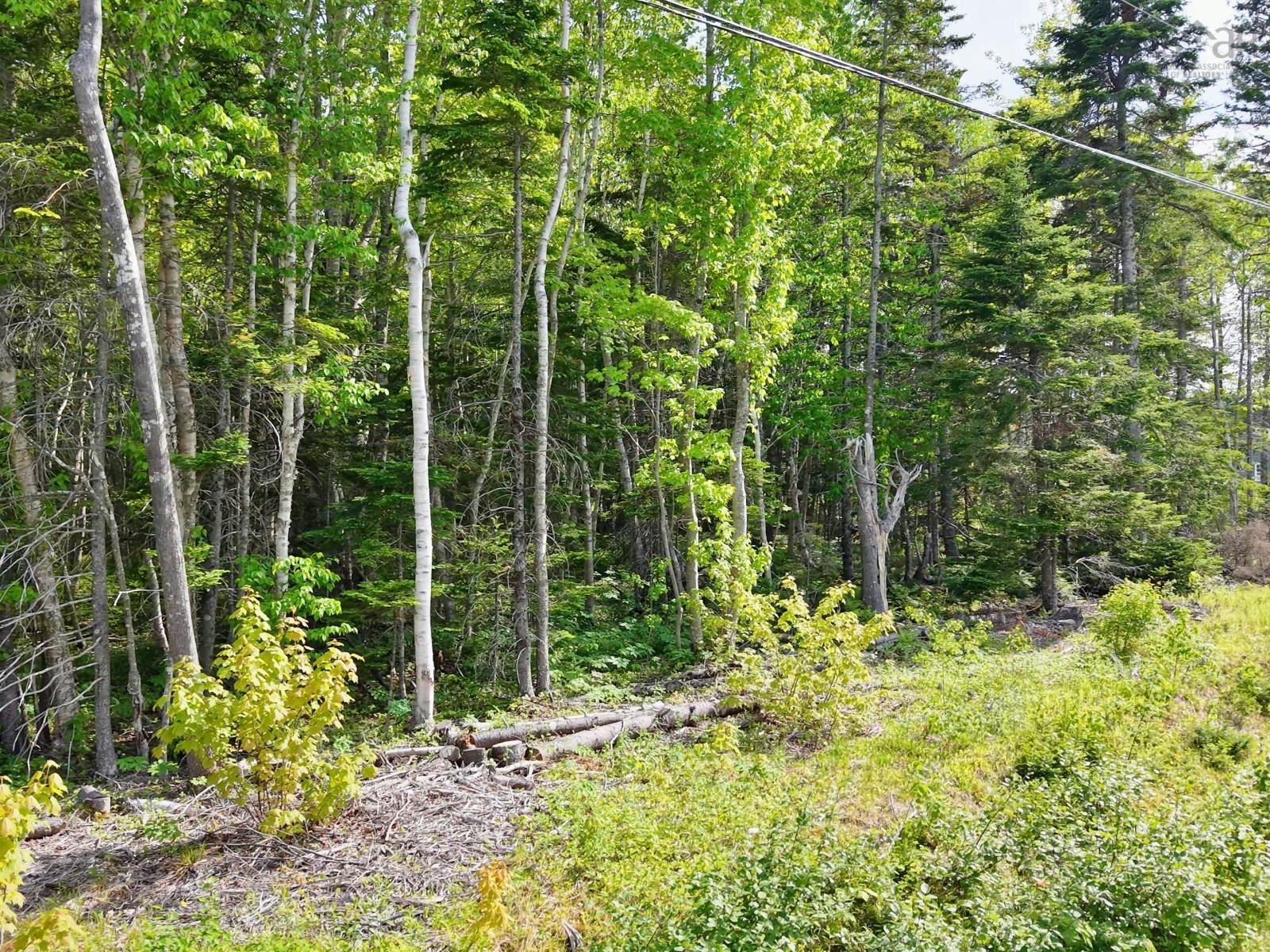 $75,000.00: Lot 2, 3, 6 Leitches Creek Rd, Leitches Creek
