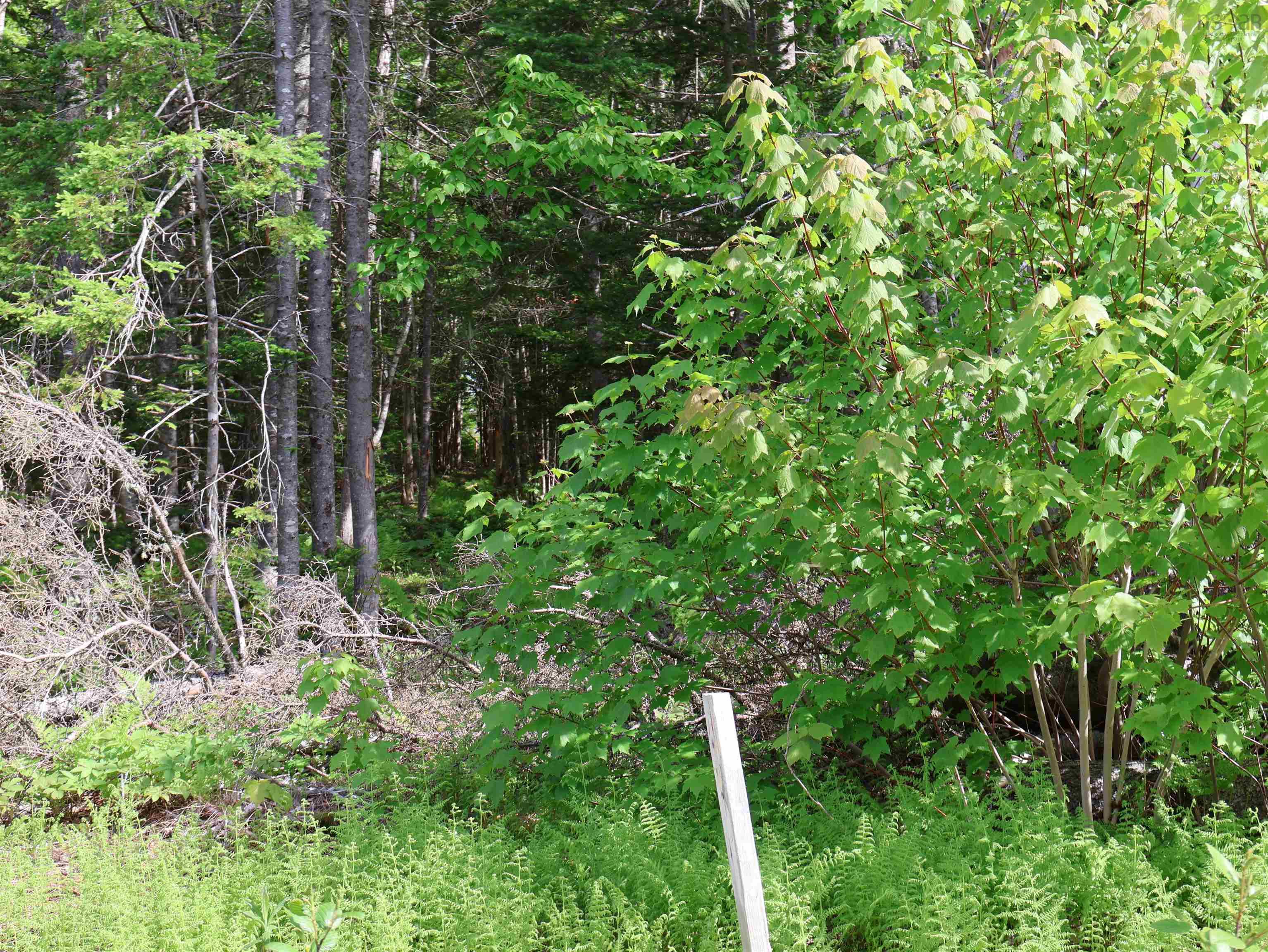 $75,000.00: Lot 2, 3, 6 Leitches Creek Rd, Leitches Creek