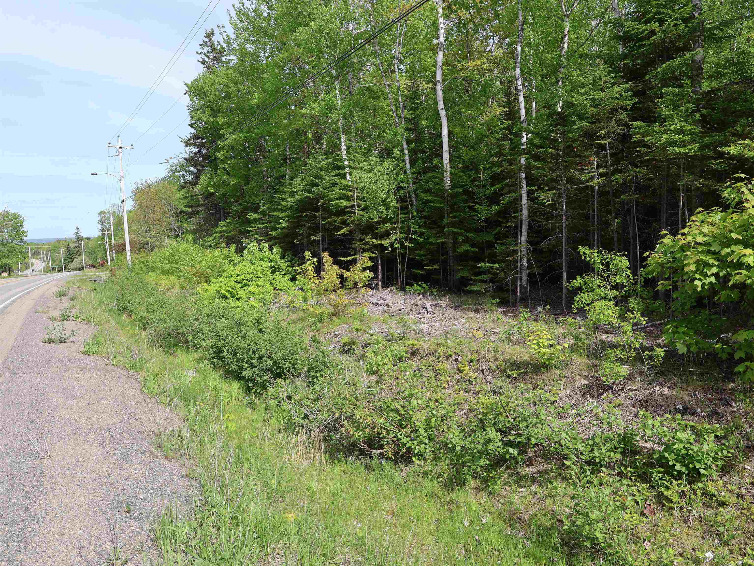 $75,000.00: Lot 2, 3, 6 Leitches Creek Rd, Leitches Creek