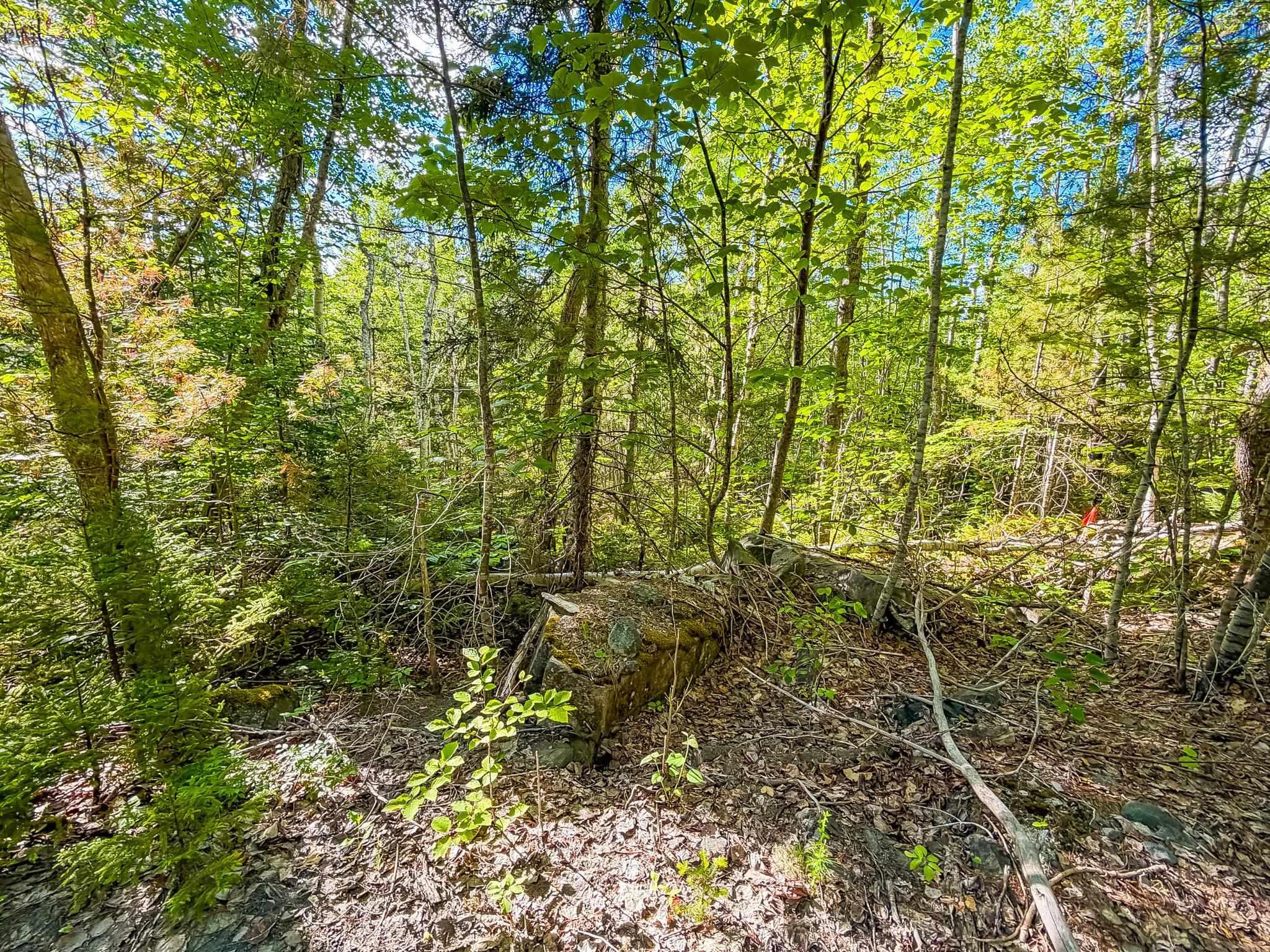 $18,000.00: Lot PID#70126610 Ponhook Shore Road, Labelle