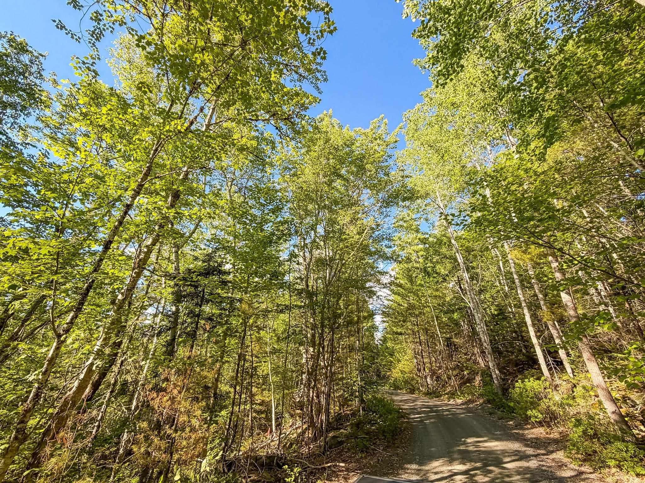 $18,000.00: Lot PID#70126610 Ponhook Shore Road, Labelle