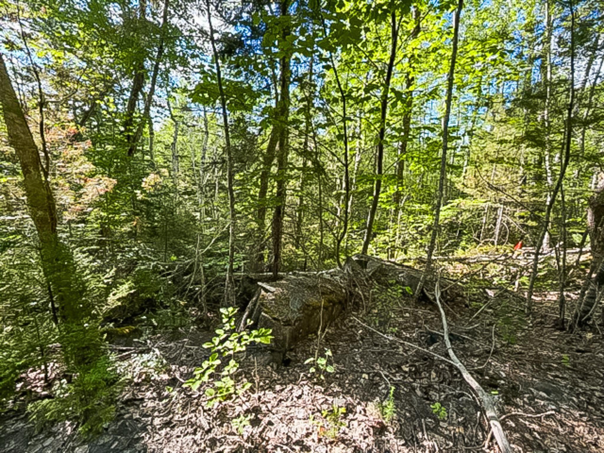 $18,000.00: Lot PID#70126610 Ponhook Shore Road, Labelle