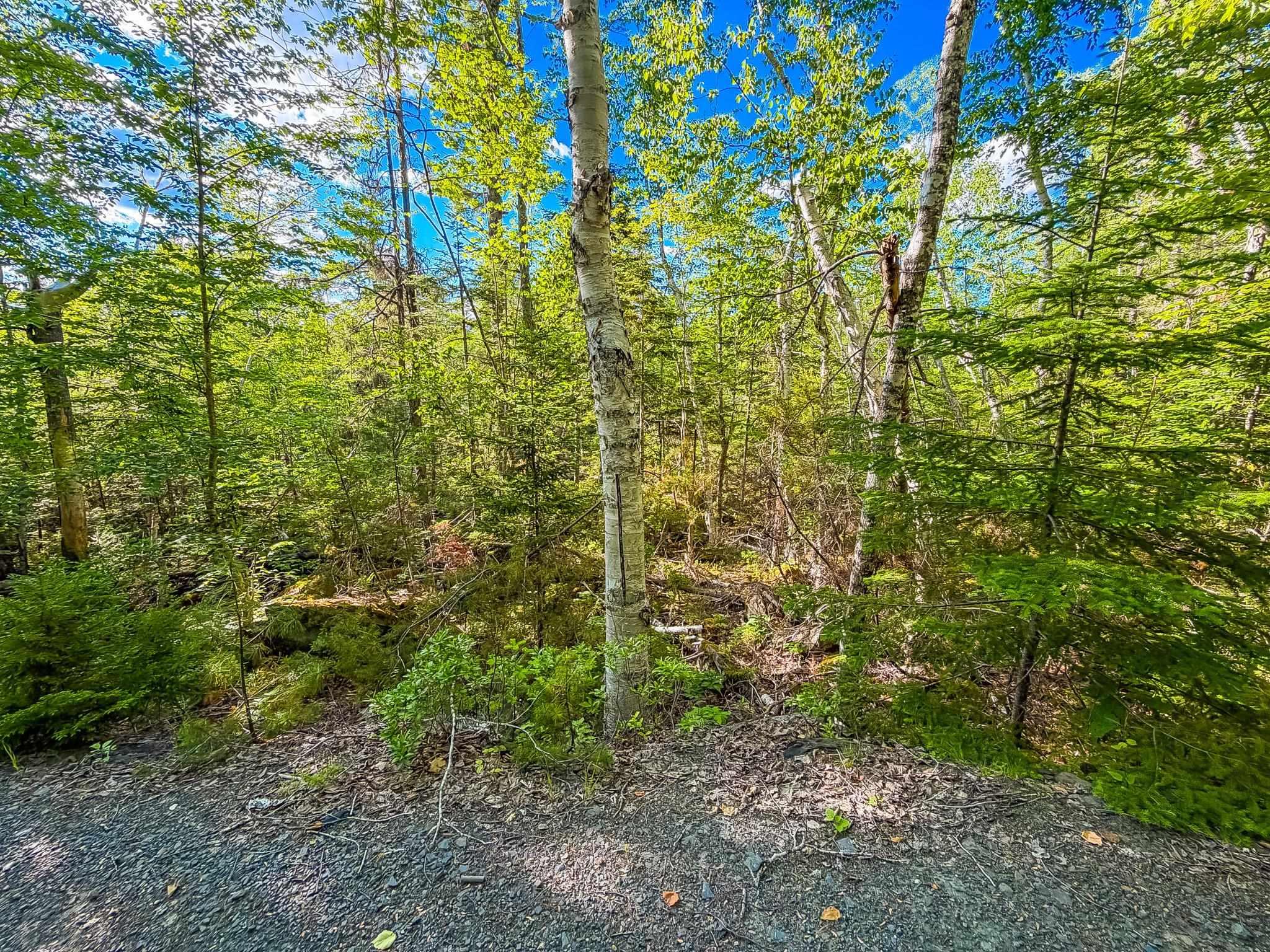$18,000.00: Lot PID#70126610 Ponhook Shore Road, Labelle
