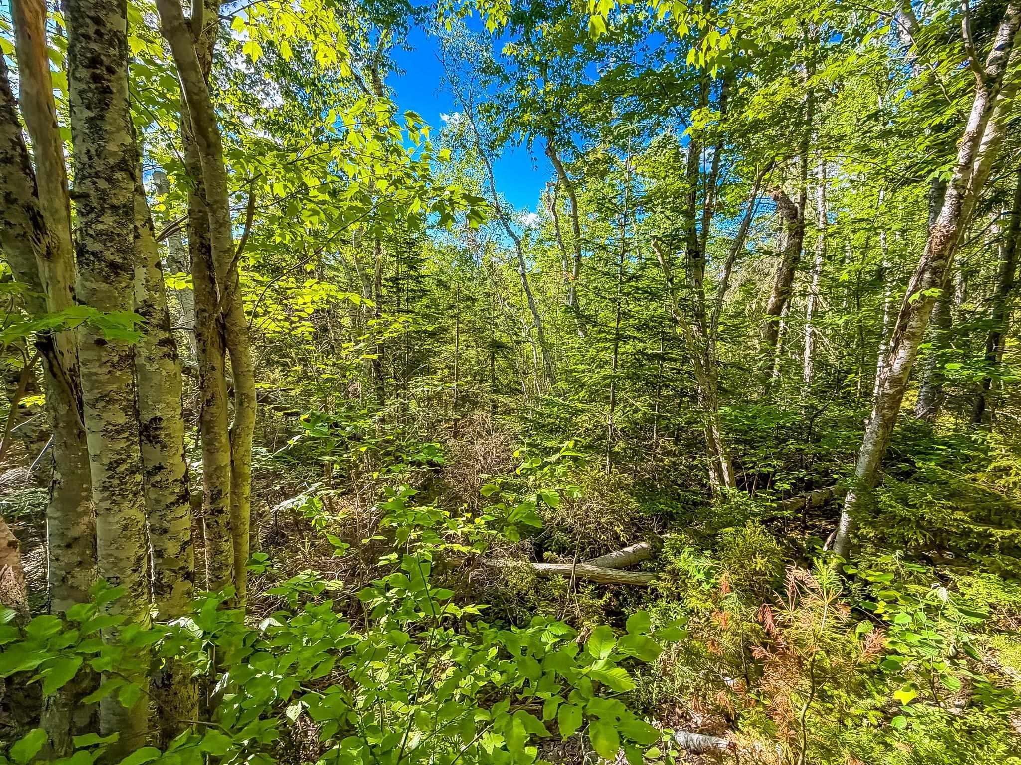 $18,000.00: Lot PID#70126610 Ponhook Shore Road, Labelle