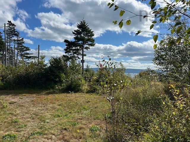 $185,000.00: 45109 Cabot Trail, North Shore