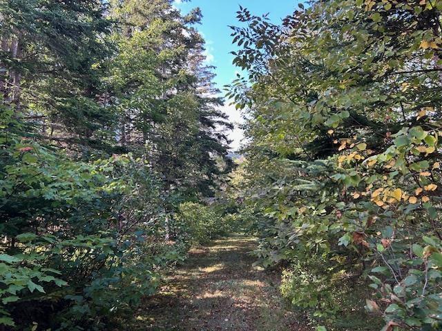 $185,000.00: 45109 Cabot Trail, North Shore