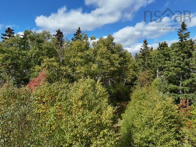 $185,000.00: 45109 Cabot Trail, North Shore
