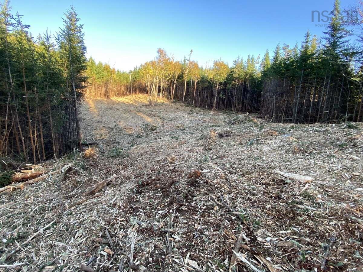 $199,000.00: 1360 East Petpeswick Road, Musquodoboit