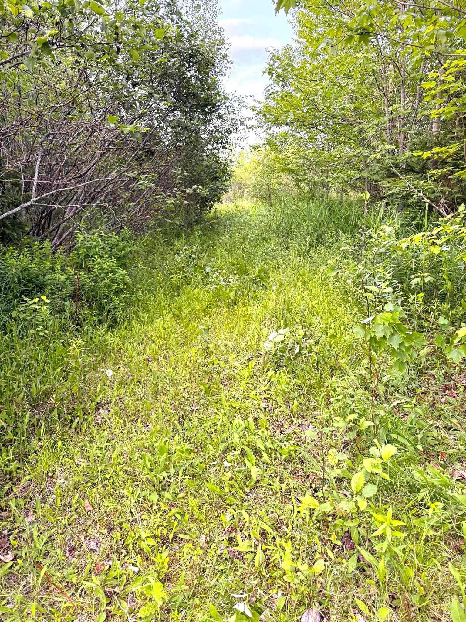 $135,000.00: LOT 1 Wittenburg Road, Wittenburg