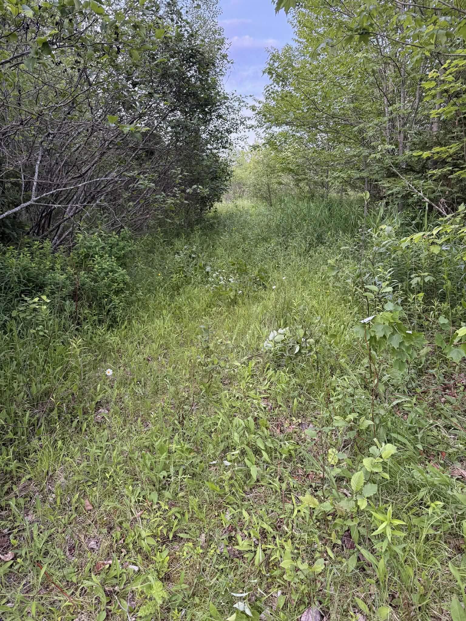 $135,000.00: LOT 1 Wittenburg Road, Wittenburg