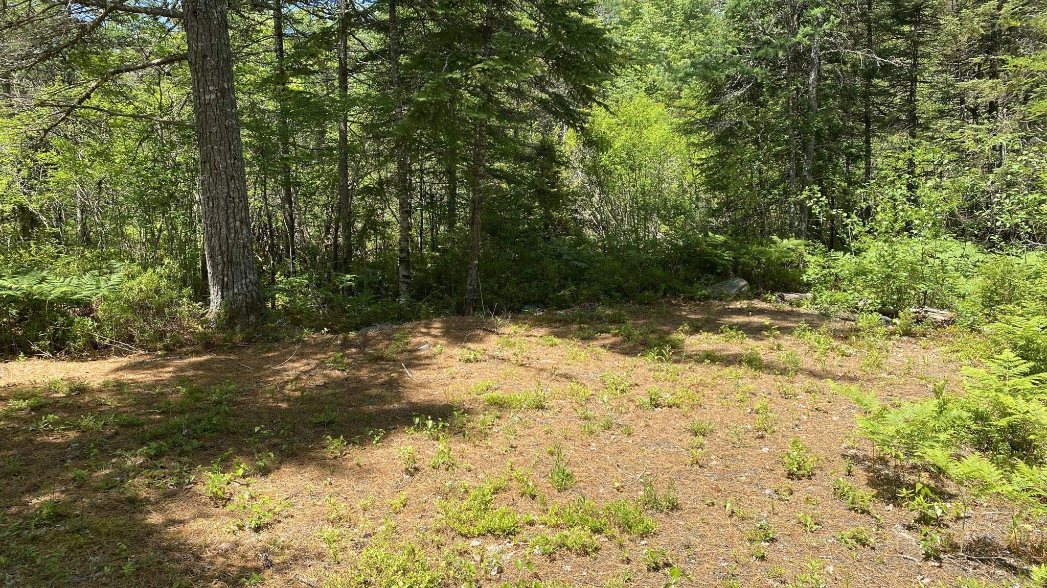 $29,000.00: Lot 3 Highway 8, Harmony