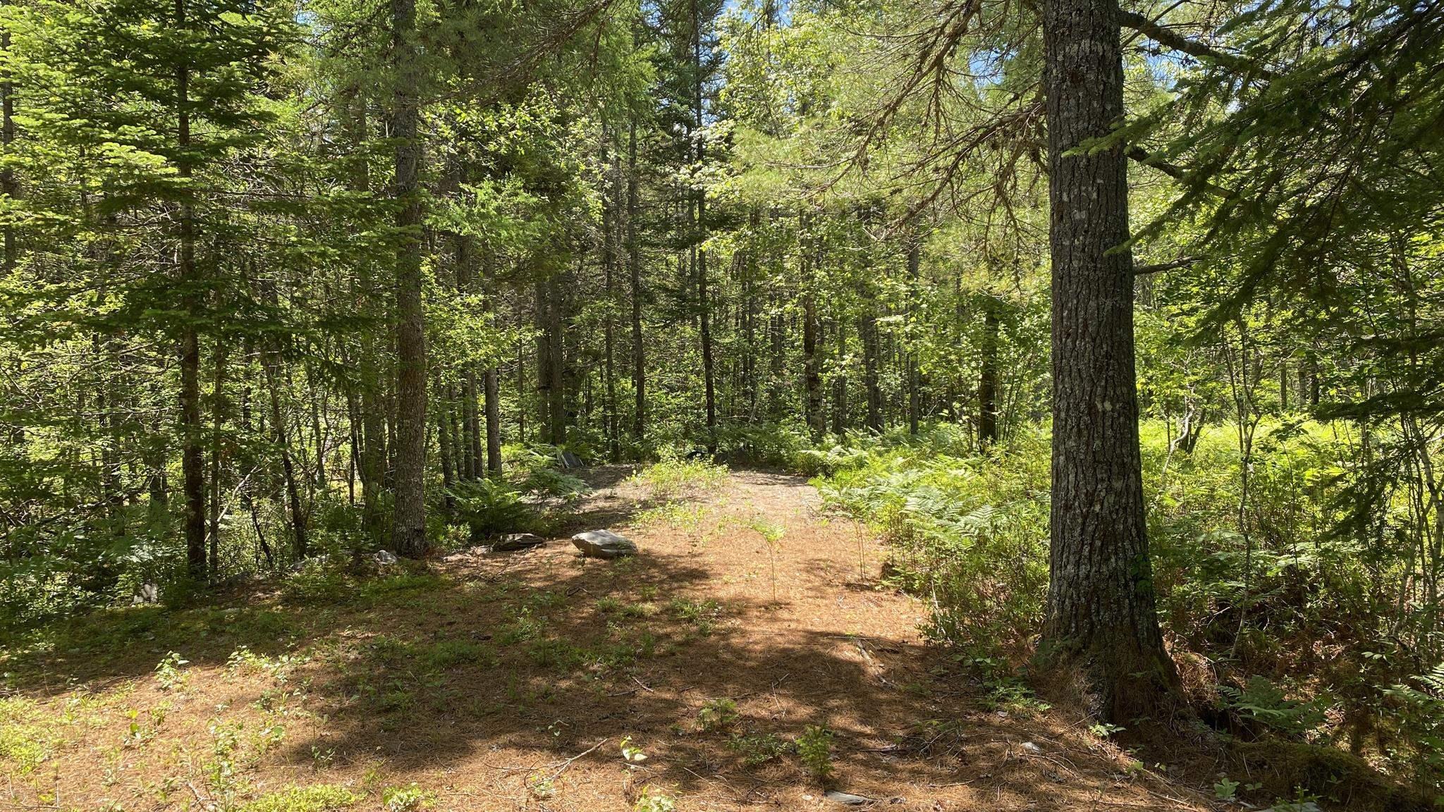 $29,000.00: Lot 3 Highway 8, Harmony
