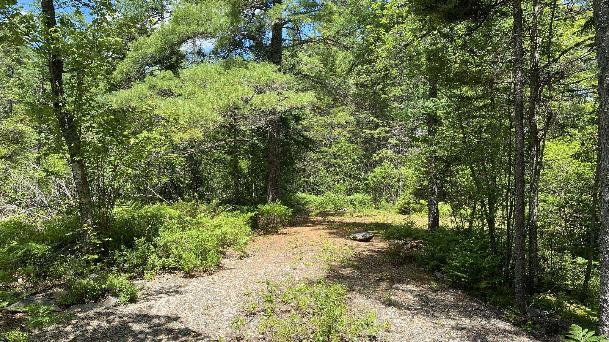 $29,000.00: Lot 3 Highway 8, Harmony