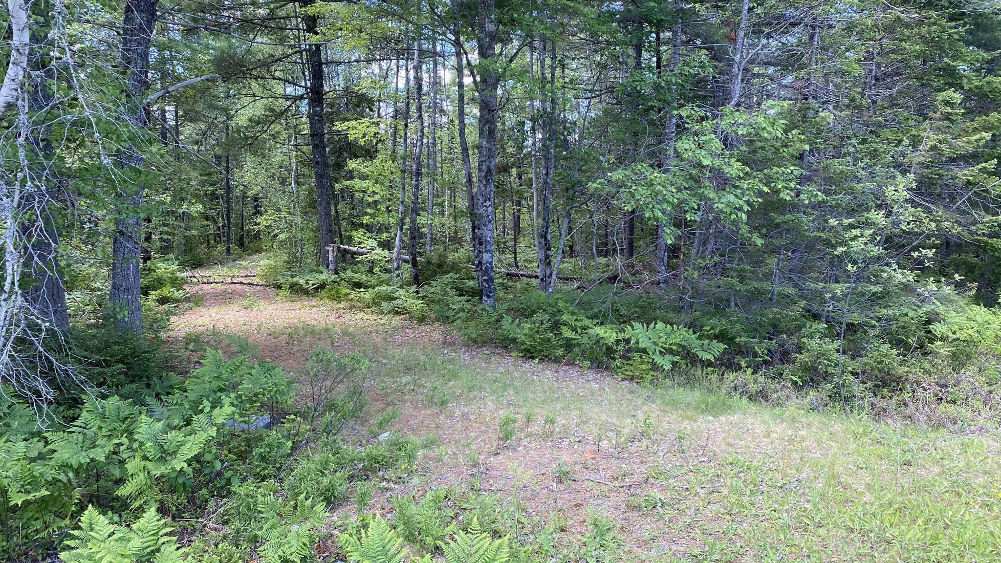 $29,000.00: Lot 3 Highway 8, Harmony