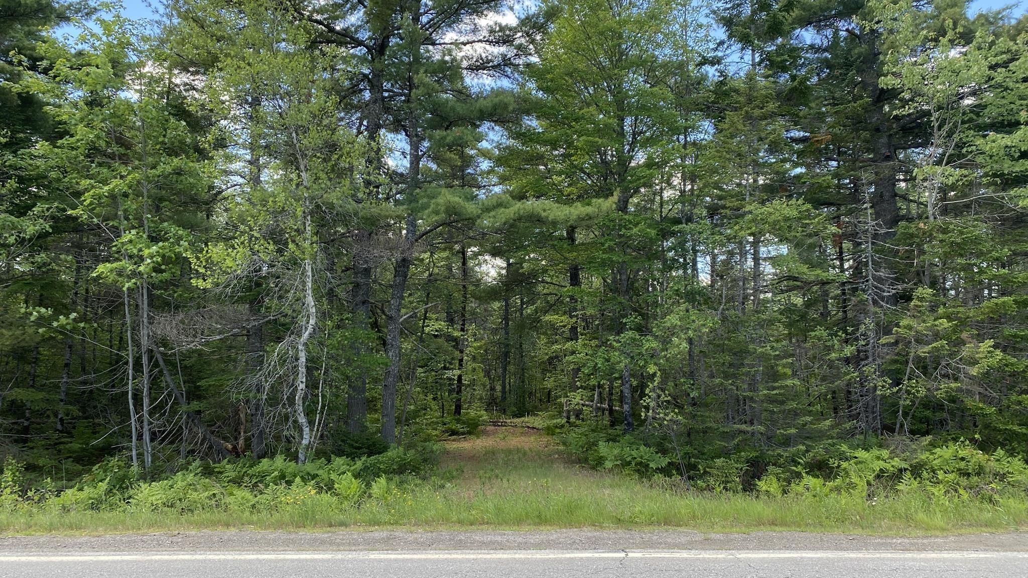 $29,000.00: Lot 3 Highway 8, Harmony