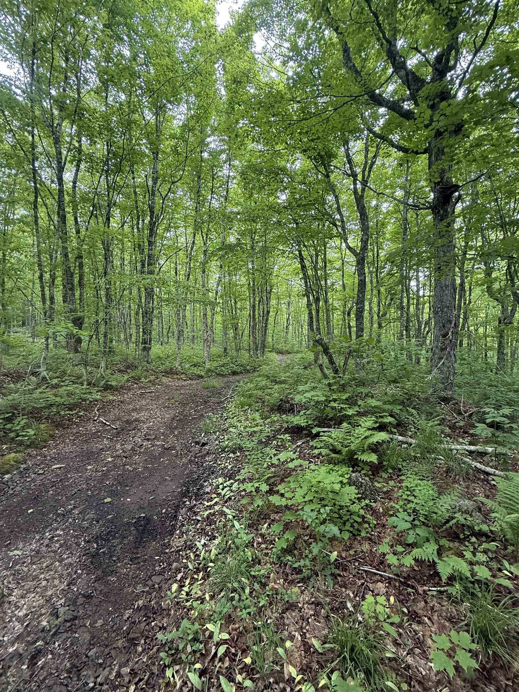 $109,900.00: Lot (PID 20098885) Truro Road, New Annan